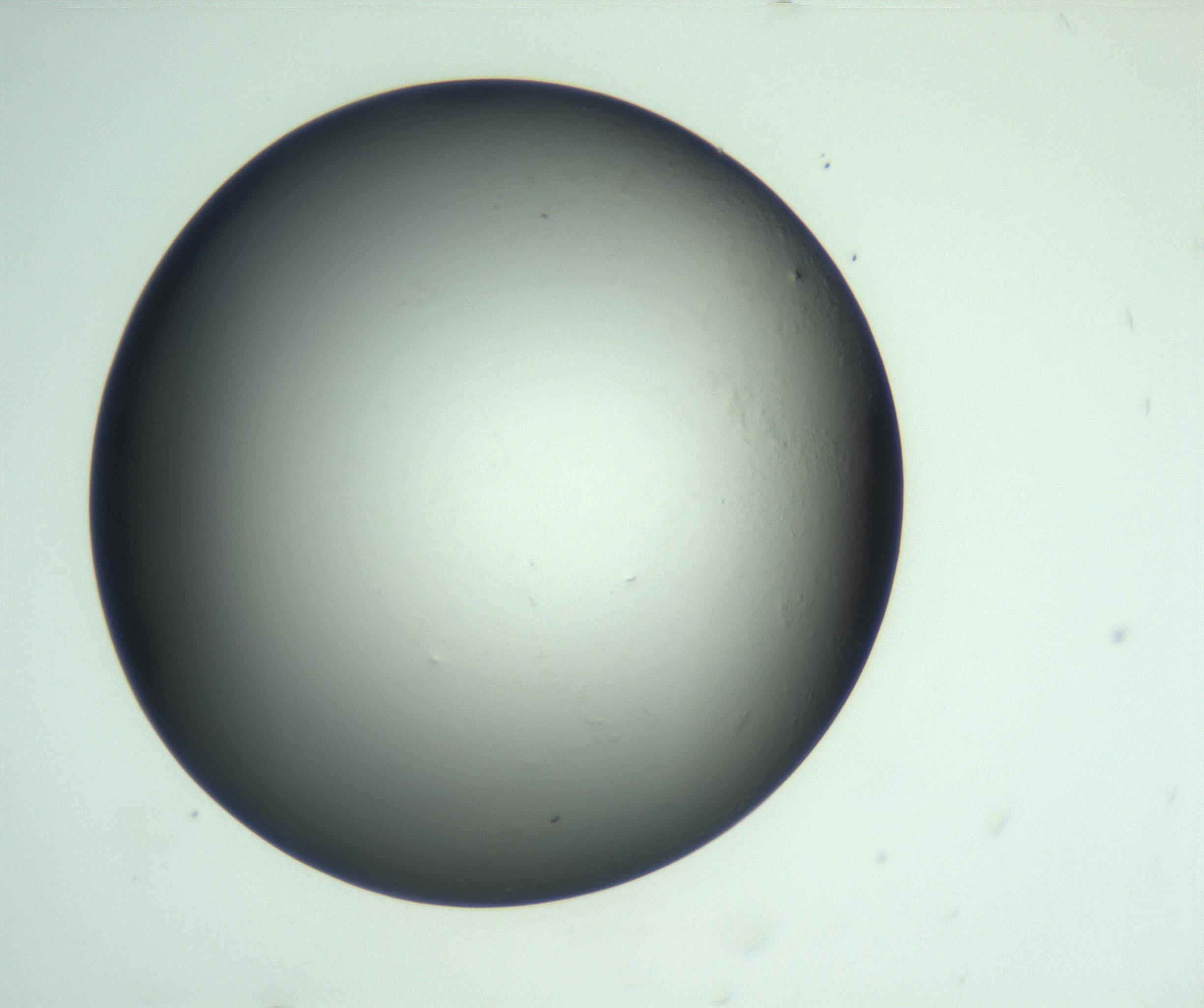 RI01_03_000_0212_Proj1_Clon1_MC_0000MC103093_004_161206_05_04_02_00_99_002_001_RAI.jpg