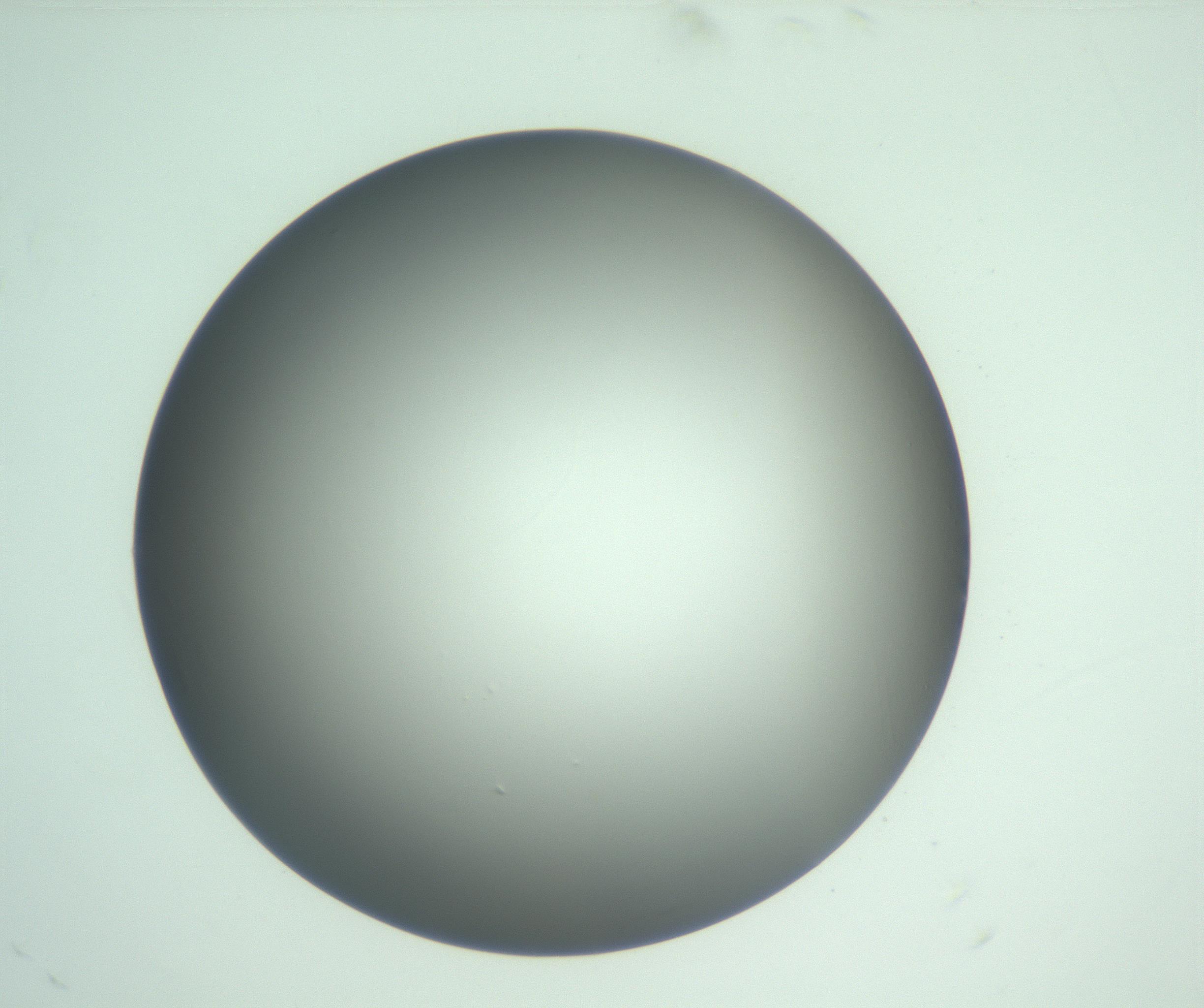 RI01_03_000_0212_Proj1_Clon1_MC_0000MC103093_004_161206_06_01_01_00_99_002_001_RAI.jpg