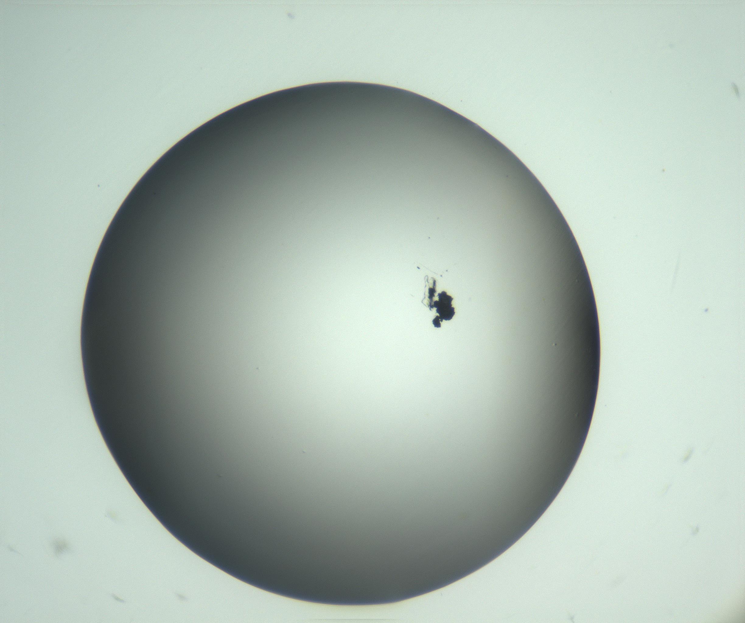 RI01_03_000_0212_Proj1_Clon1_MC_0000MC103093_004_161206_06_01_02_00_99_002_001_RAI.jpg