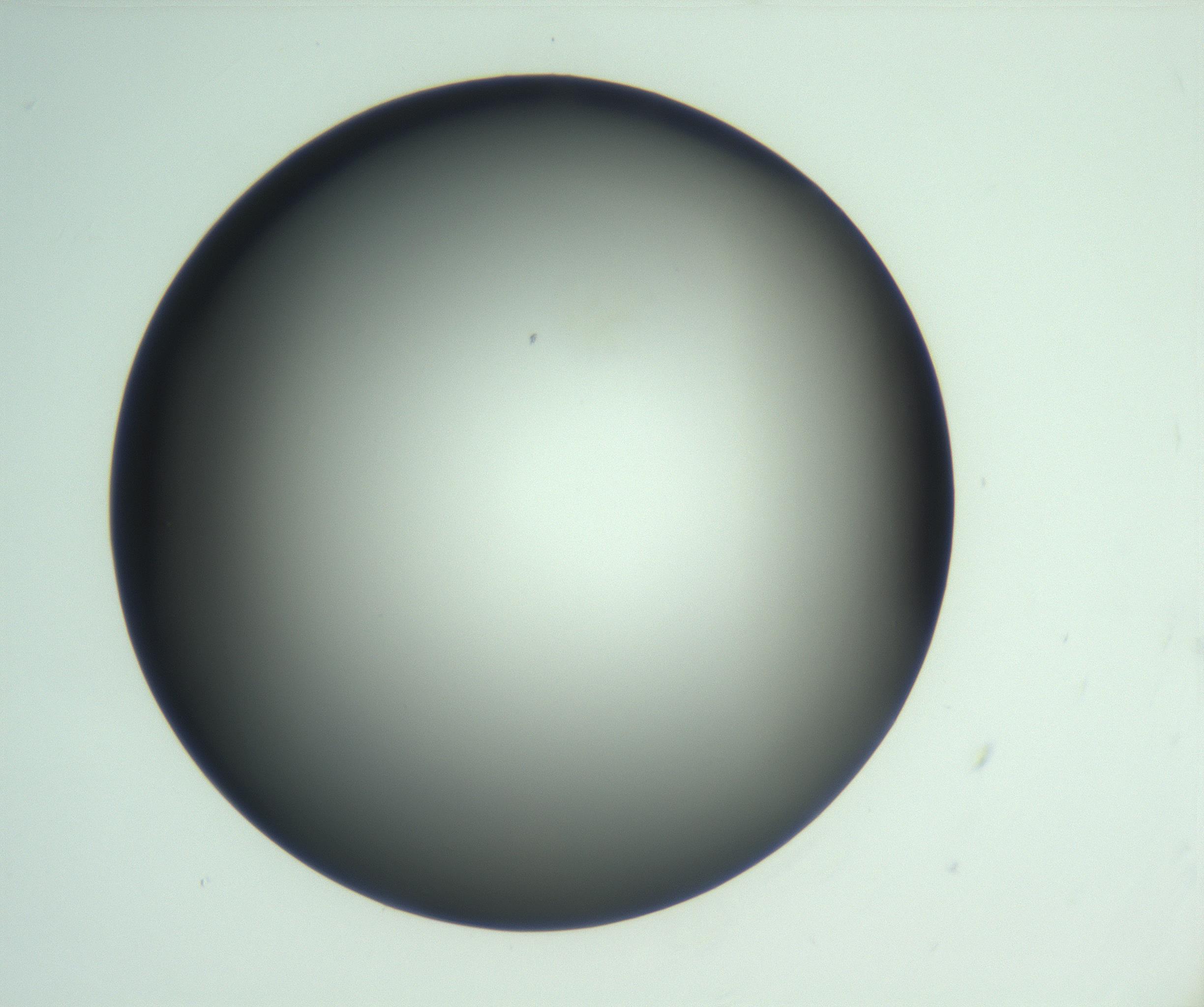 RI01_03_000_0212_Proj1_Clon1_MC_0000MC103093_004_161206_06_02_01_00_99_002_001_RAI.jpg