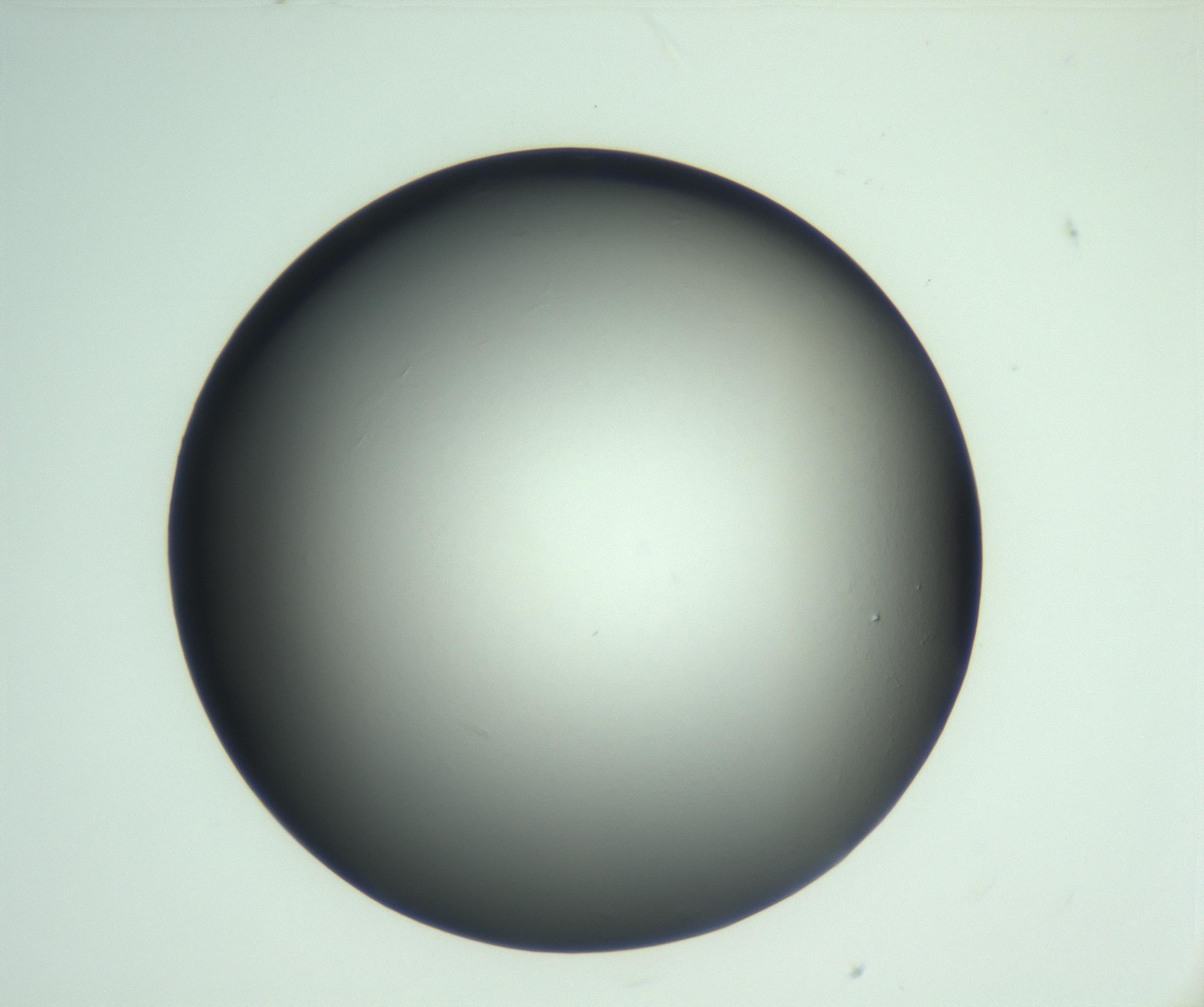 RI01_03_000_0212_Proj1_Clon1_MC_0000MC103093_004_161206_06_02_02_00_99_002_001_RAI.jpg