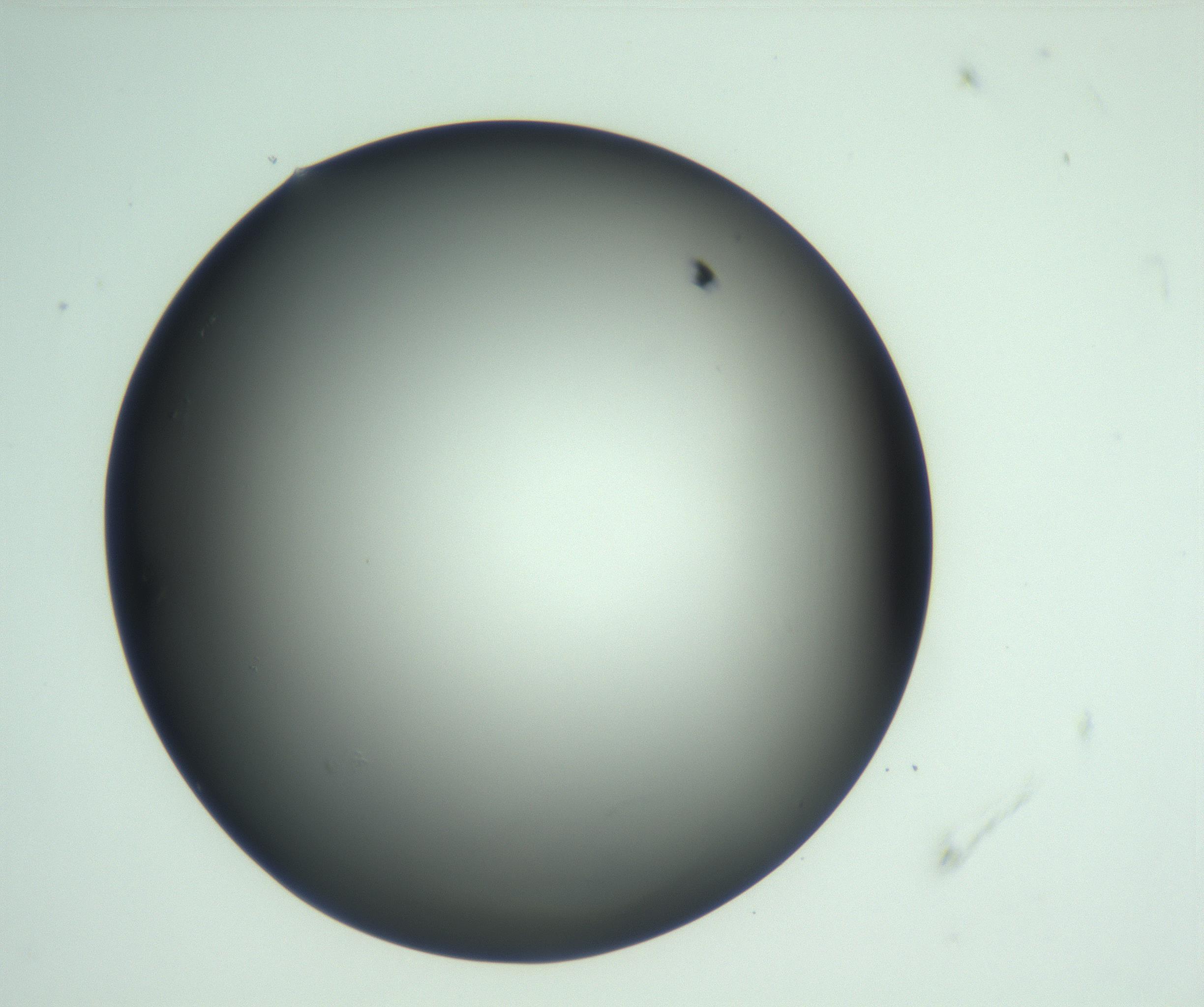 RI01_03_000_0212_Proj1_Clon1_MC_0000MC103093_004_161206_06_04_01_00_99_002_001_RAI.jpg