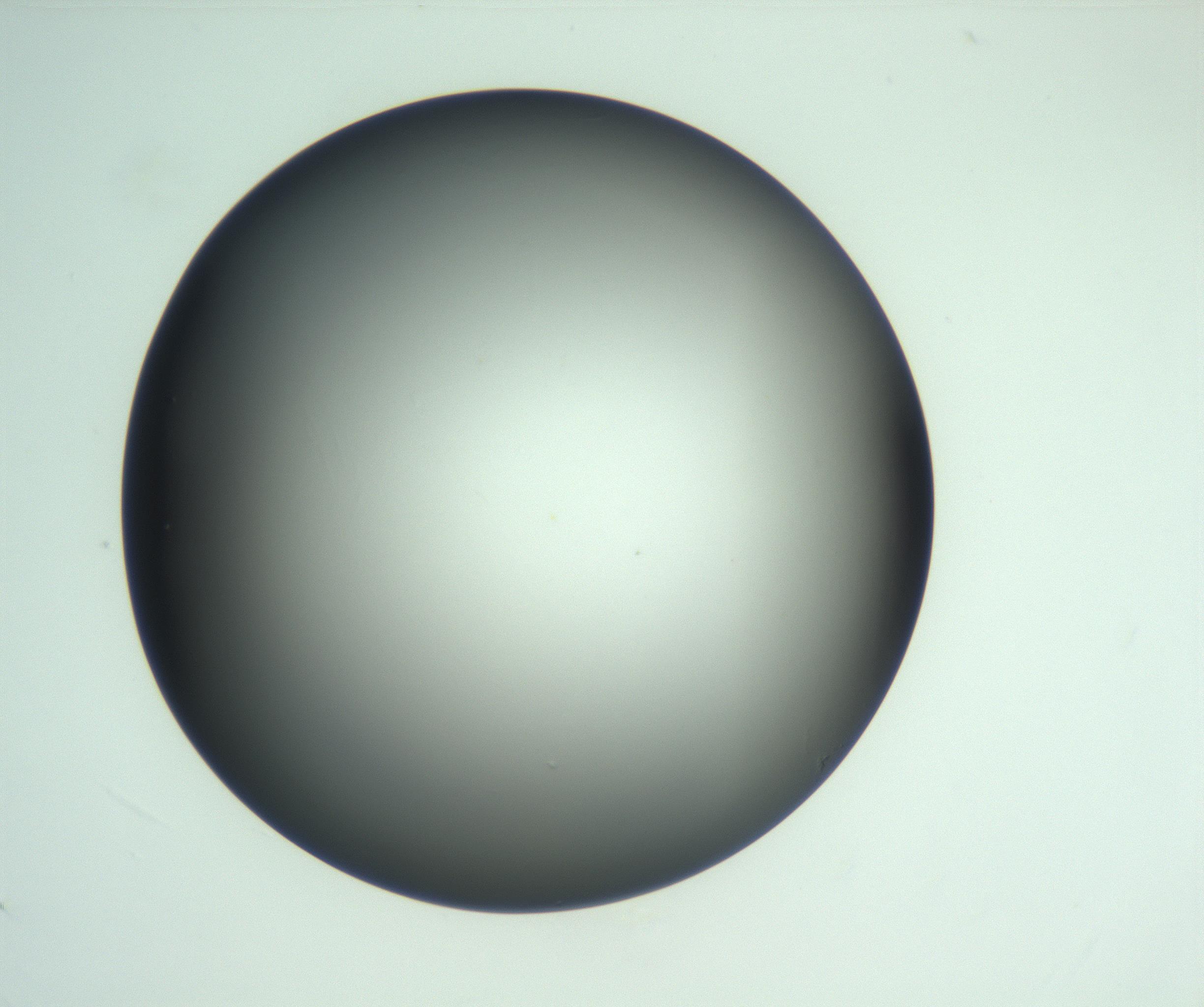 RI01_03_000_0212_Proj1_Clon1_MC_0000MC103093_004_161206_06_04_02_00_99_002_001_RAI.jpg