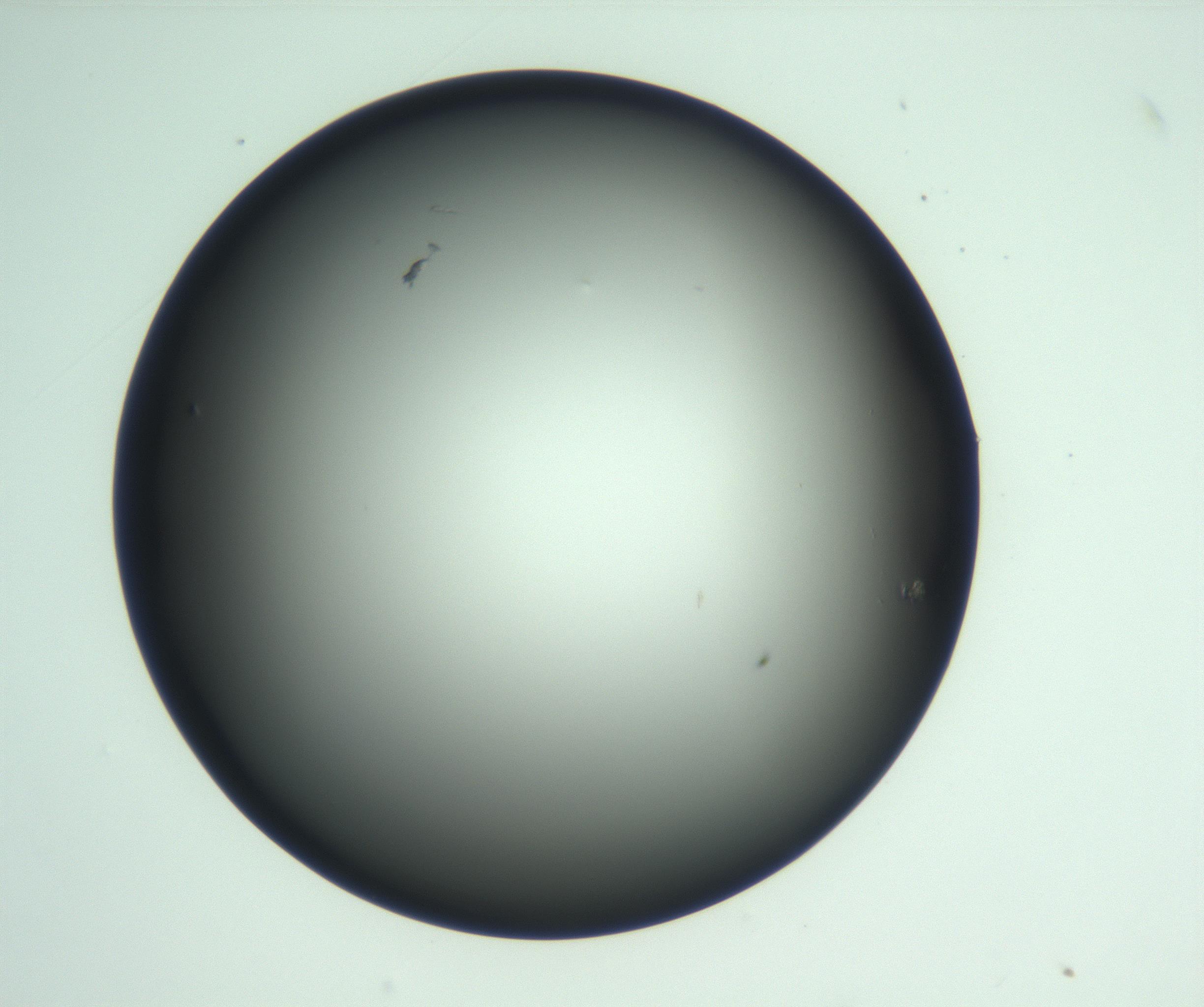 RI01_03_000_0212_Proj1_Clon1_MC_0000MC103093_004_161206_06_05_01_00_99_002_001_RAI.jpg
