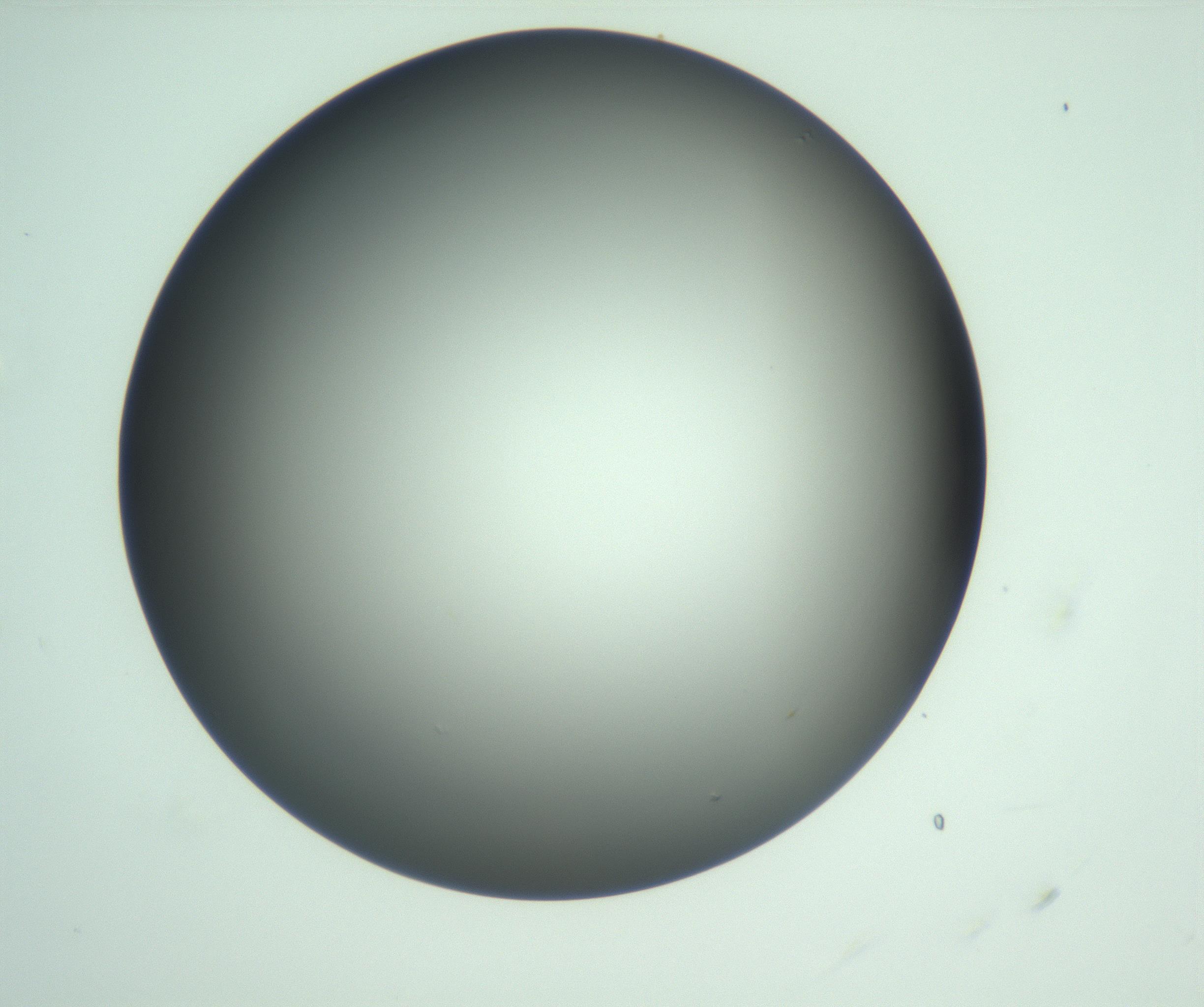 RI01_03_000_0212_Proj1_Clon1_MC_0000MC103093_004_161206_07_01_01_00_99_002_001_RAI.jpg