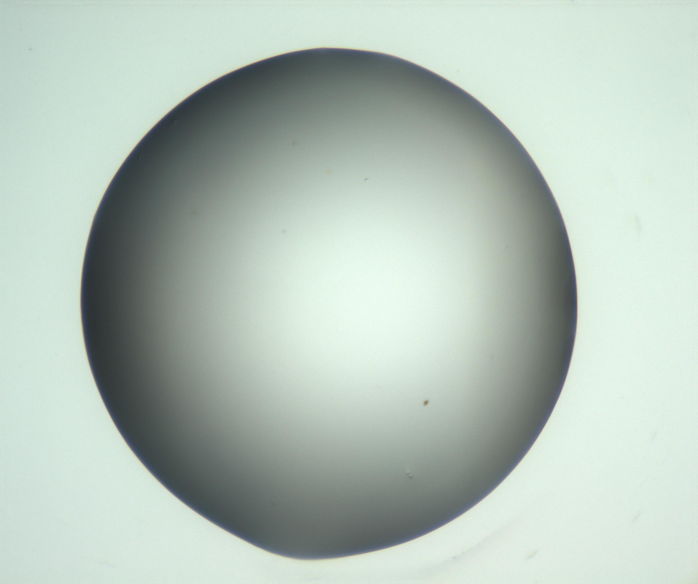 RI01_03_000_0212_Proj1_Clon1_MC_0000MC103093_004_161206_07_01_02_00_99_002_001_RAI.jpg
