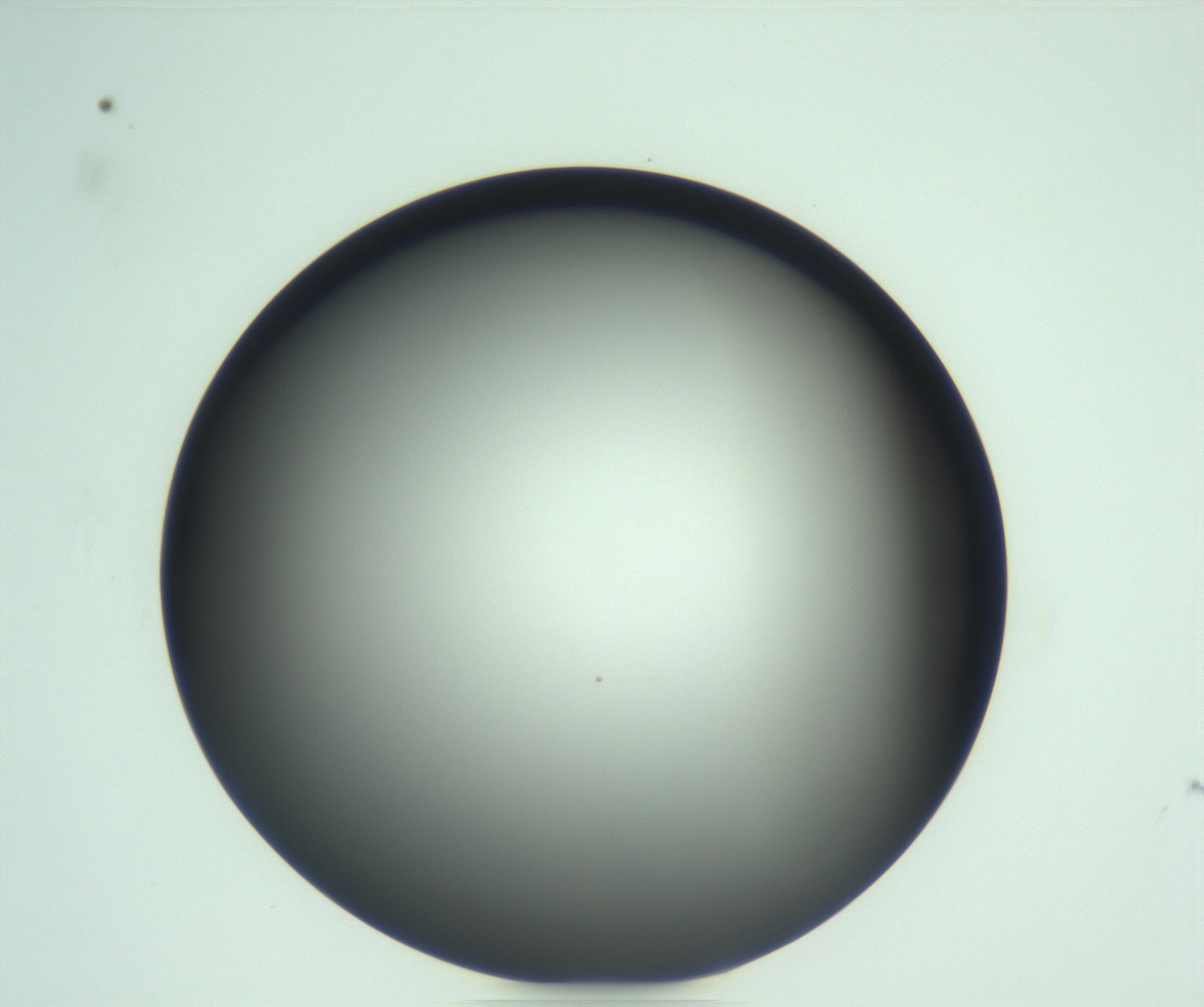 RI01_03_000_0212_Proj1_Clon1_MC_0000MC103093_004_161206_07_02_01_00_99_002_001_RAI.jpg