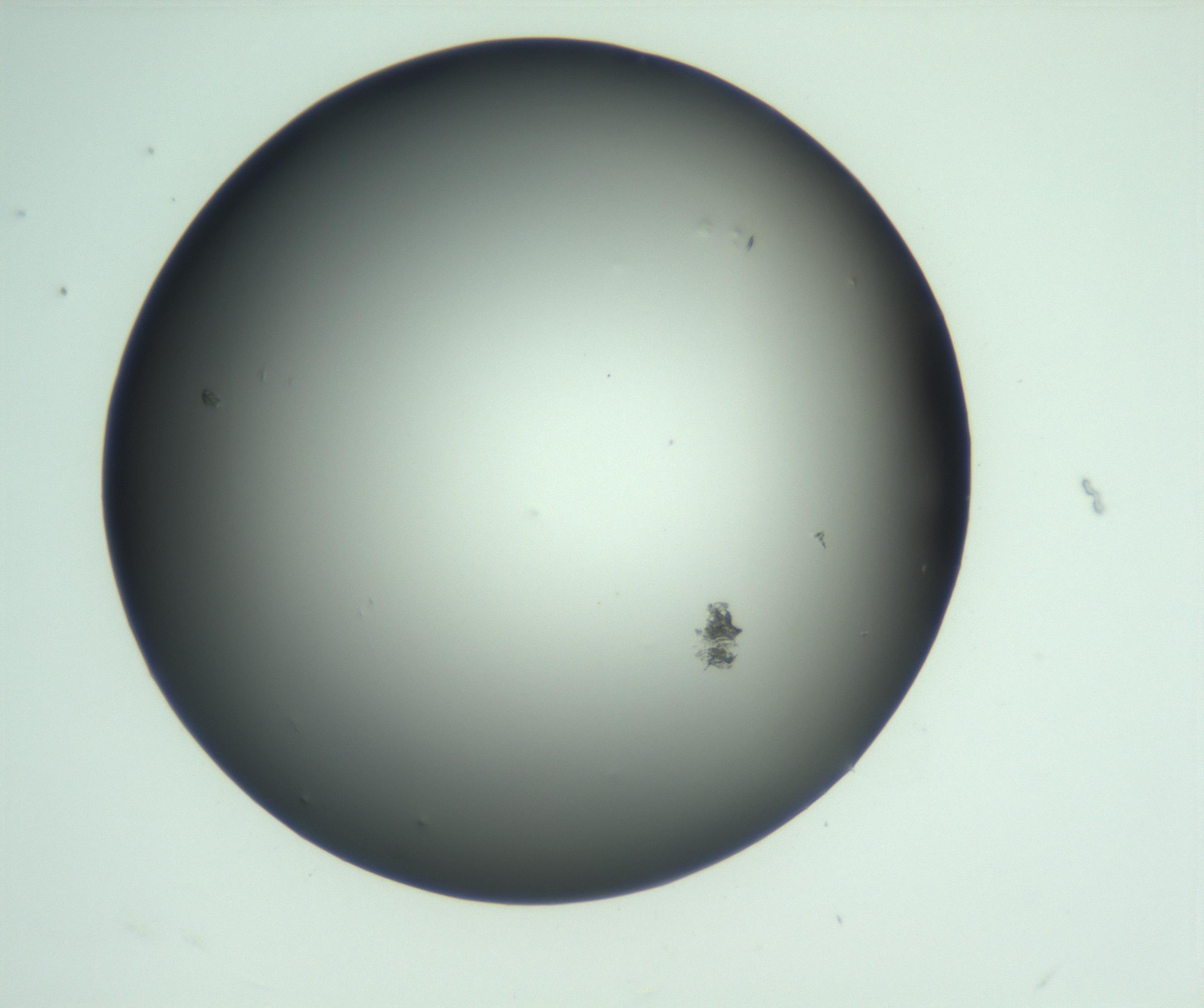 RI01_03_000_0212_Proj1_Clon1_MC_0000MC103093_004_161206_07_03_01_00_99_002_001_RAI.jpg