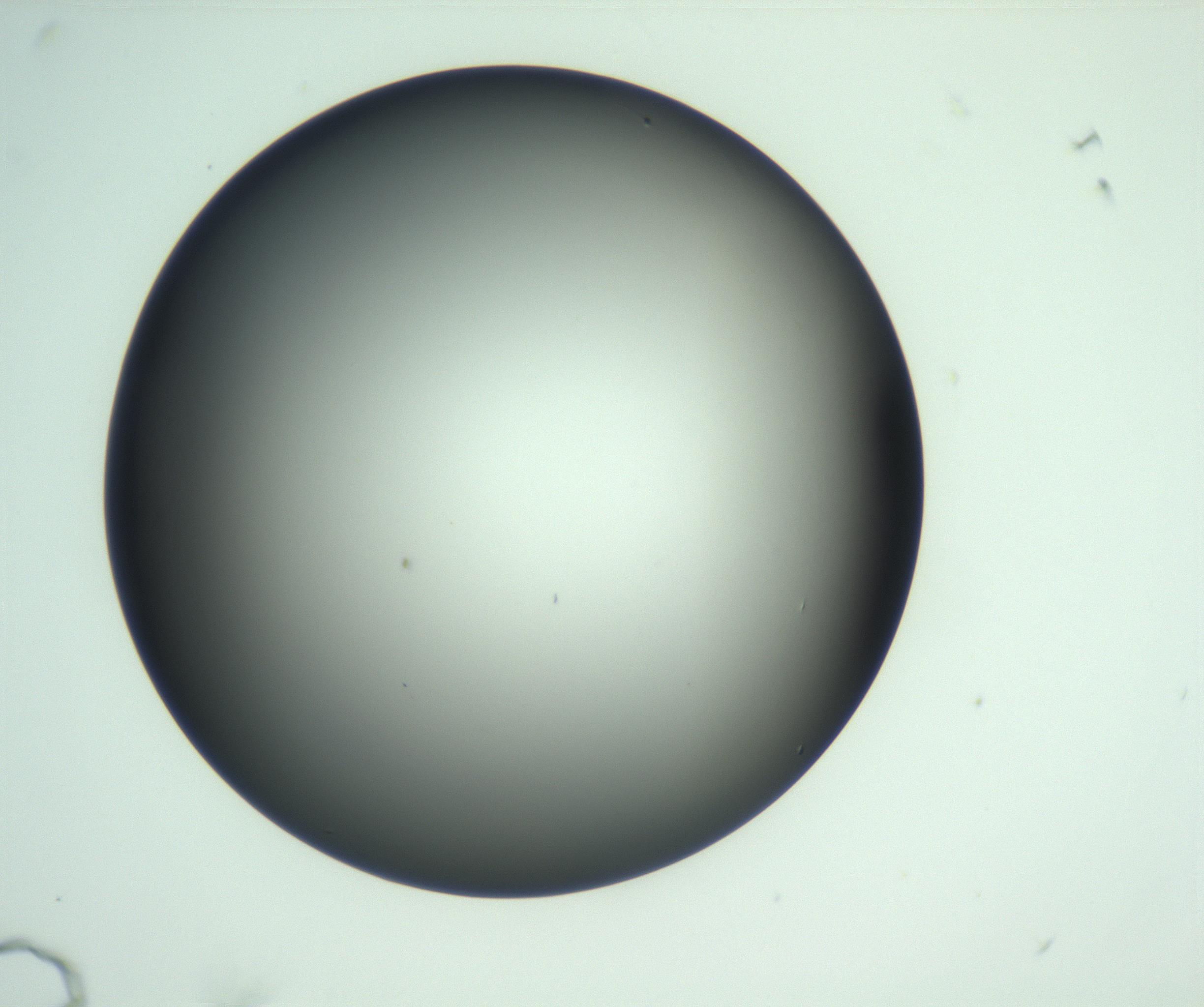 RI01_03_000_0212_Proj1_Clon1_MC_0000MC103093_004_161206_07_03_02_00_99_002_001_RAI.jpg