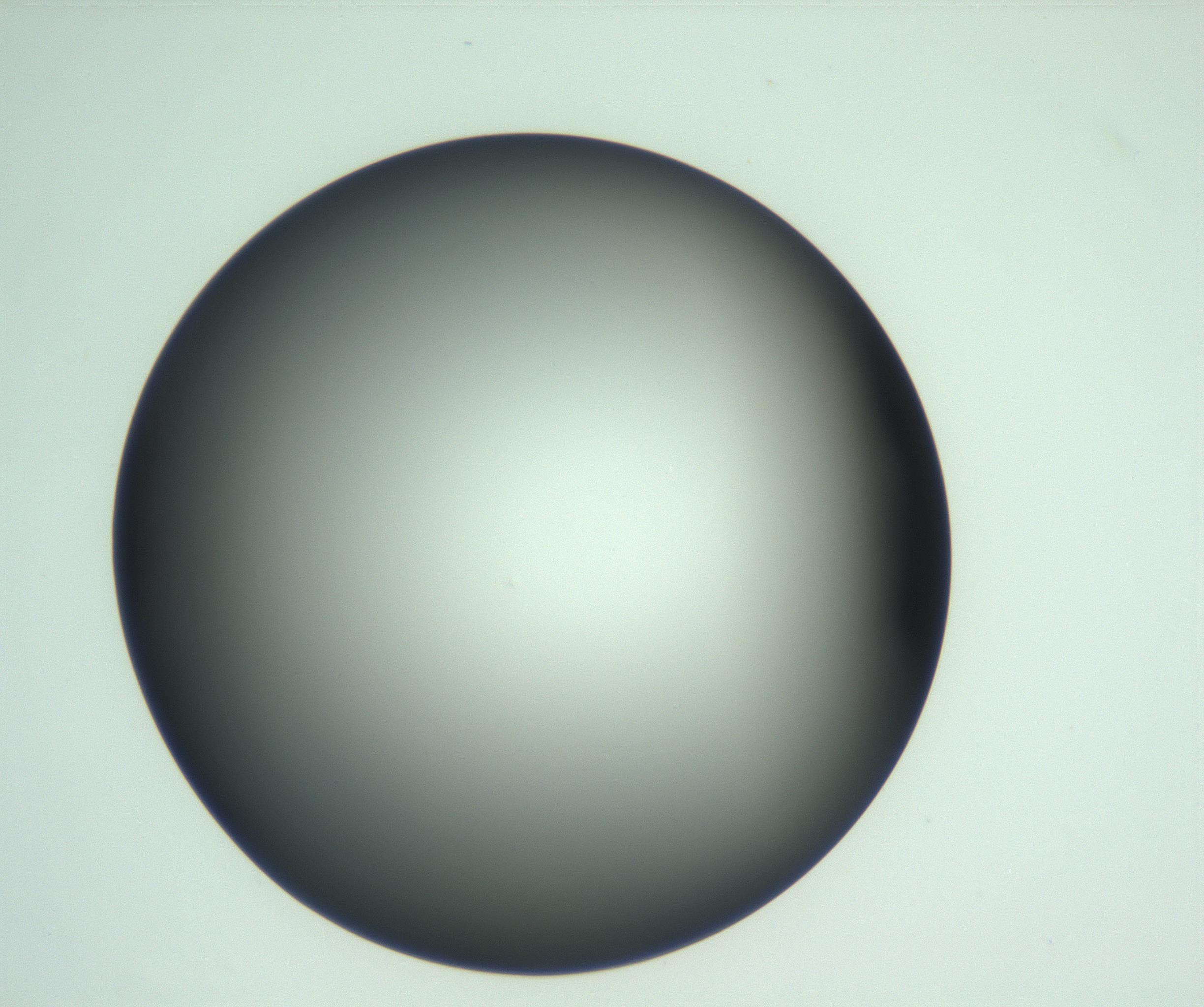 RI01_03_000_0212_Proj1_Clon1_MC_0000MC103093_004_161206_07_04_01_00_99_002_001_RAI.jpg