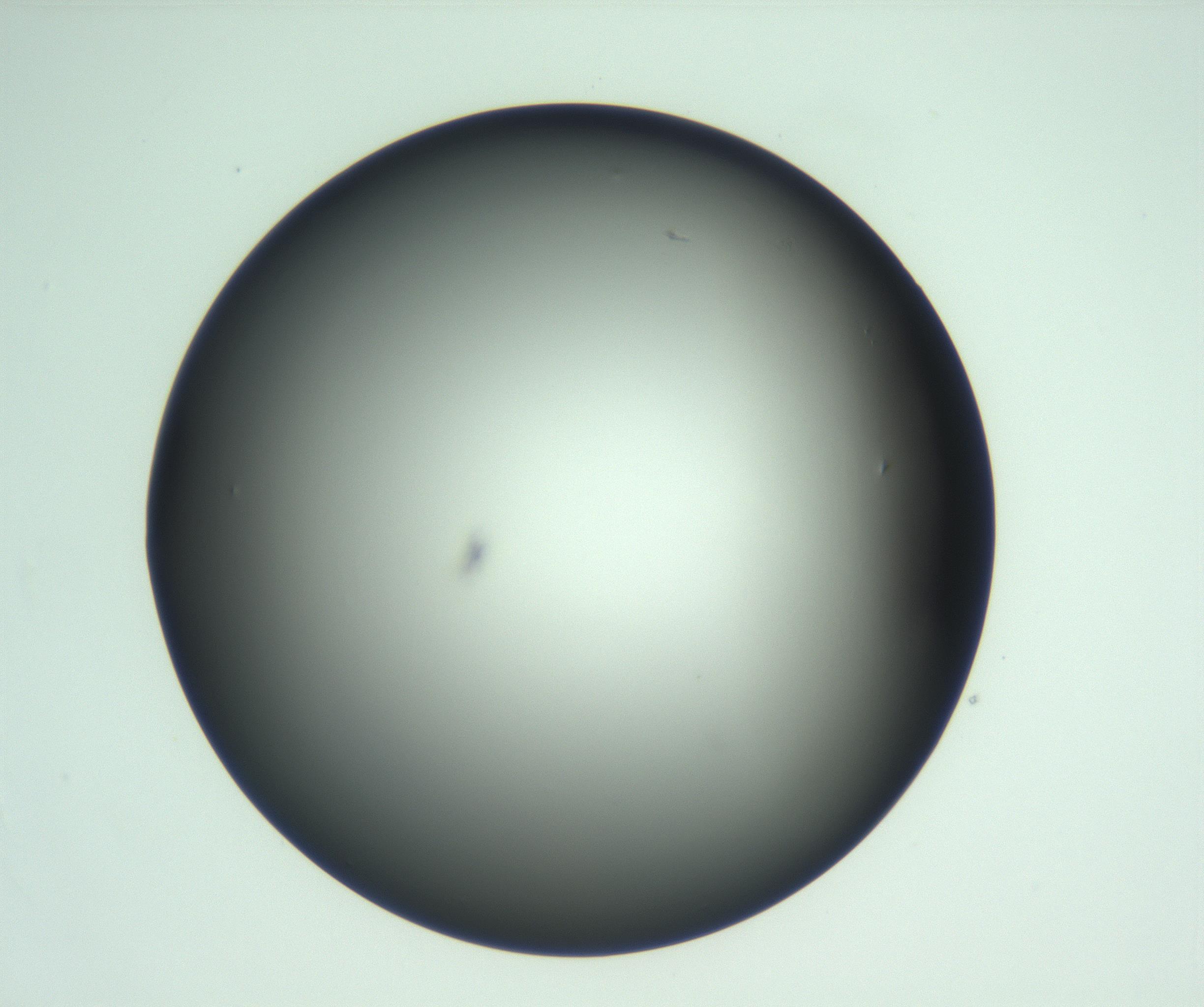 RI01_03_000_0212_Proj1_Clon1_MC_0000MC103093_004_161206_07_05_01_00_99_002_001_RAI.jpg