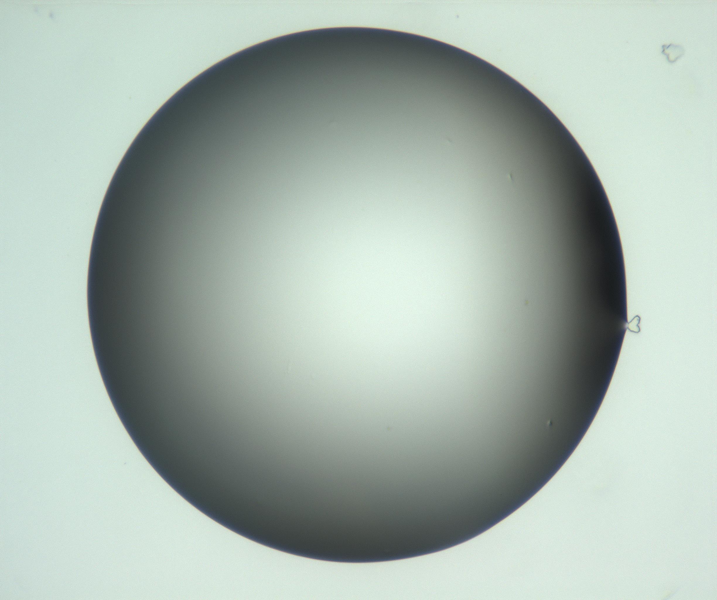 RI01_03_000_0212_Proj1_Clon1_MC_0000MC103093_004_161206_08_01_01_00_99_002_001_RAI.jpg