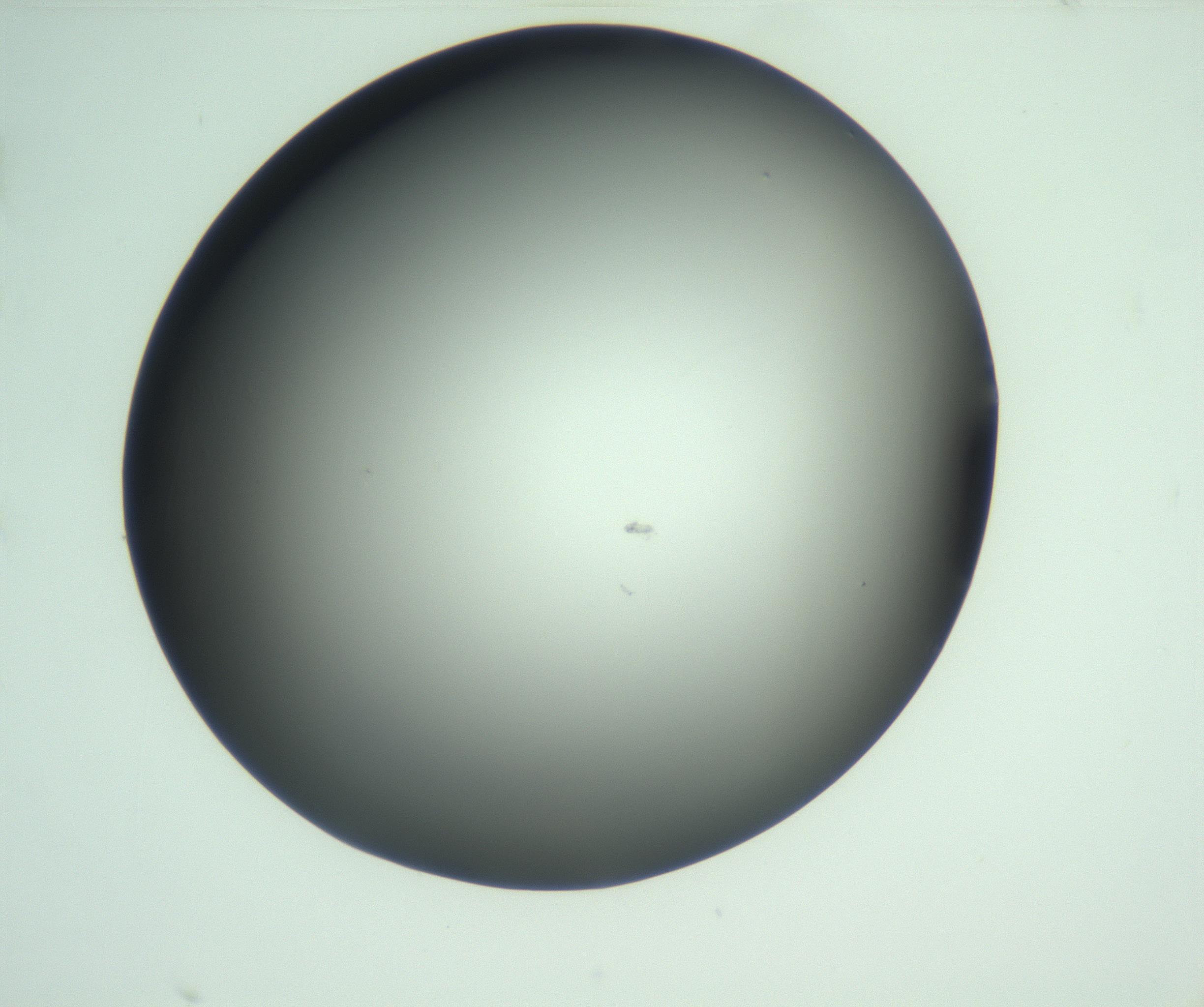 RI01_03_000_0212_Proj1_Clon1_MC_0000MC103093_004_161206_08_01_02_00_99_002_001_RAI.jpg