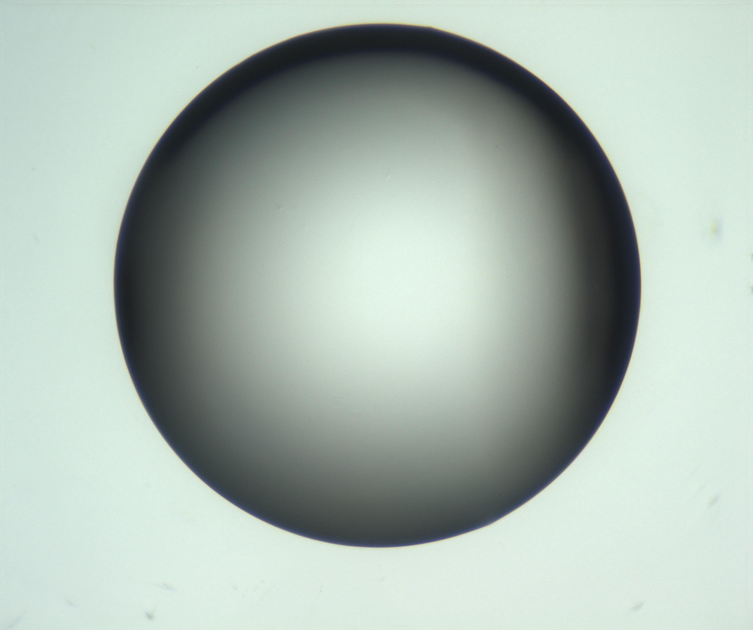 RI01_03_000_0212_Proj1_Clon1_MC_0000MC103093_004_161206_08_02_01_00_99_002_001_RAI.jpg