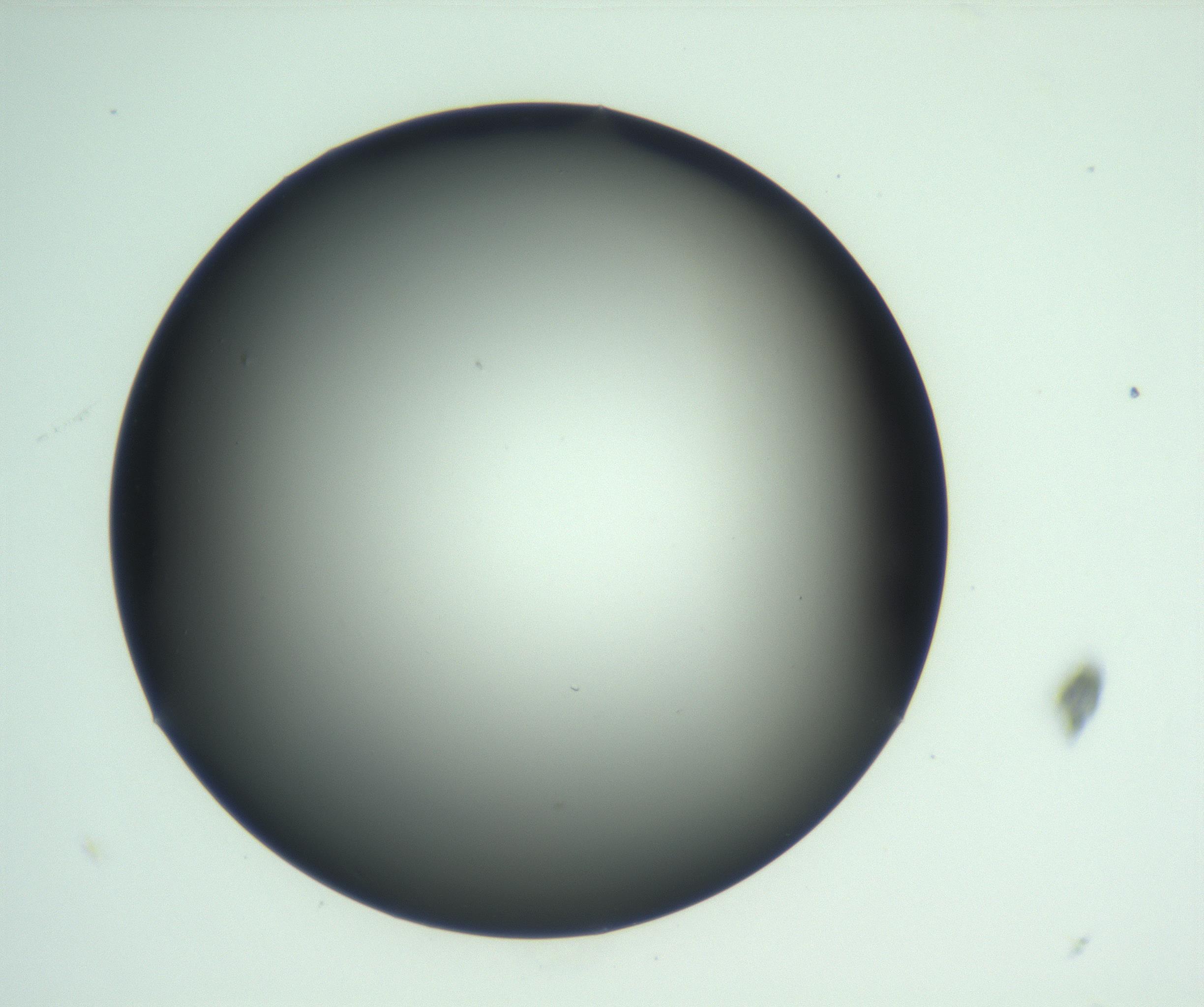 RI01_03_000_0212_Proj1_Clon1_MC_0000MC103093_004_161206_08_03_01_00_99_002_001_RAI.jpg