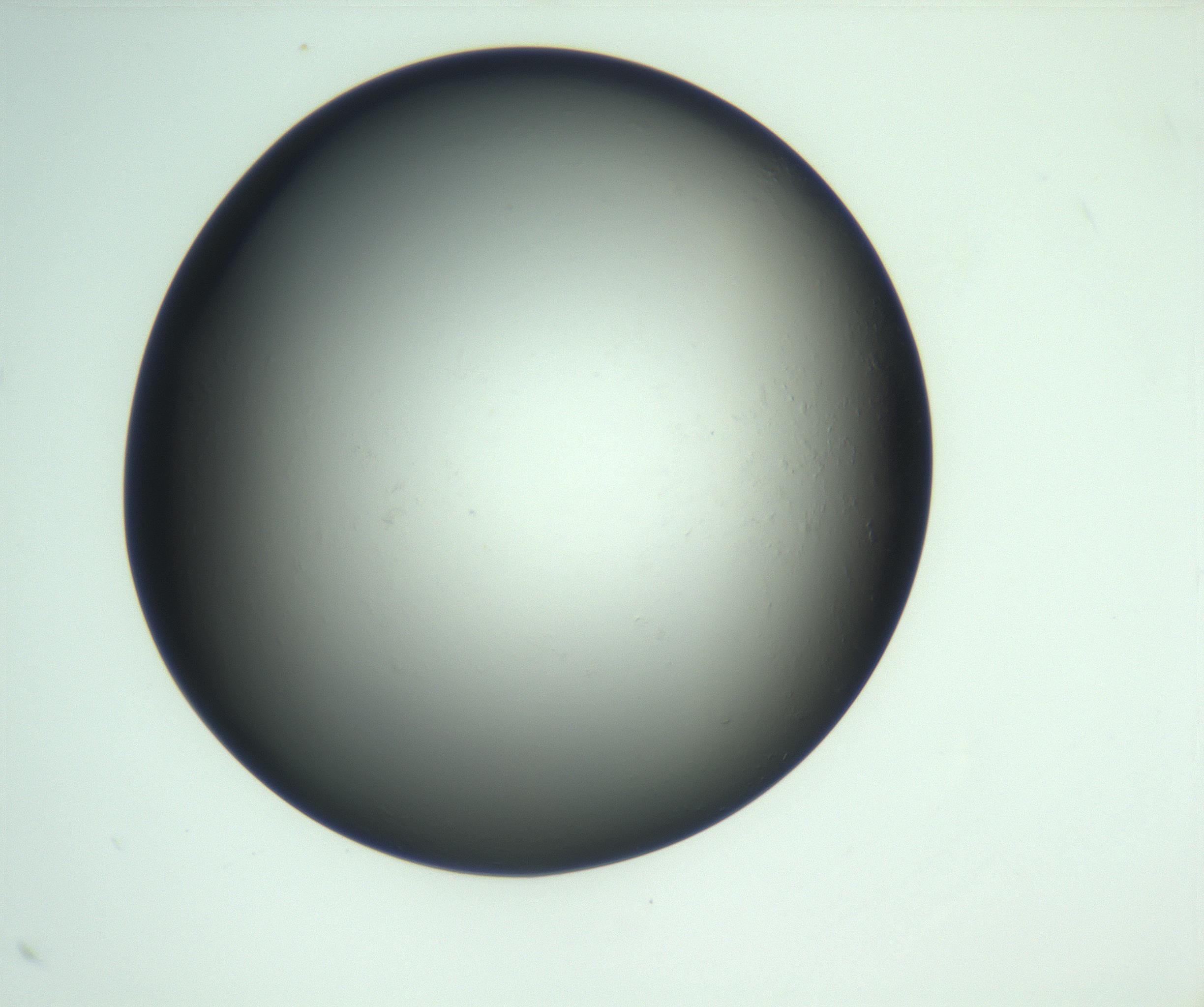 RI01_03_000_0212_Proj1_Clon1_MC_0000MC103093_004_161206_08_03_02_00_99_002_001_RAI.jpg