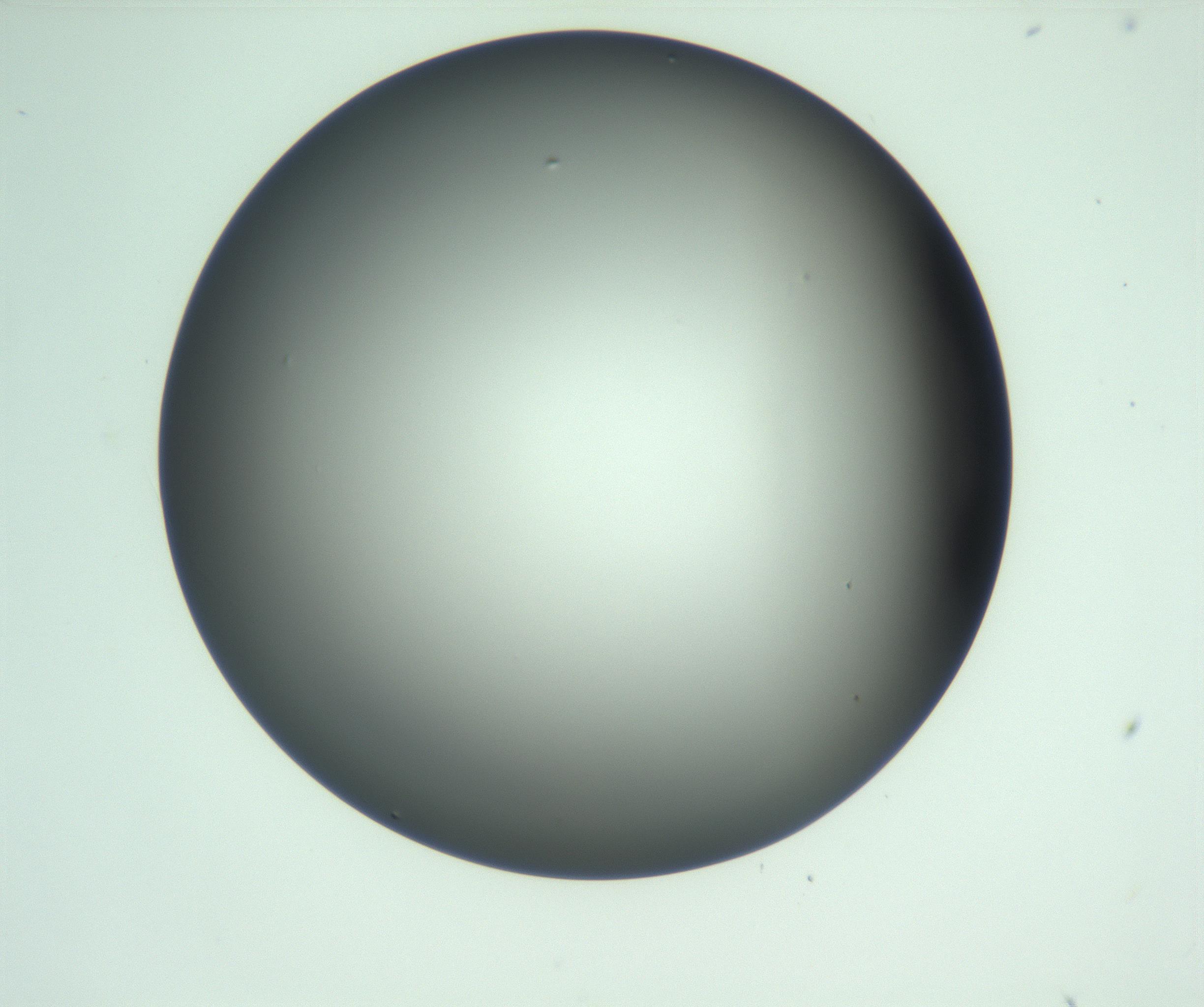 RI01_03_000_0212_Proj1_Clon1_MC_0000MC103093_004_161206_08_04_01_00_99_002_001_RAI.jpg