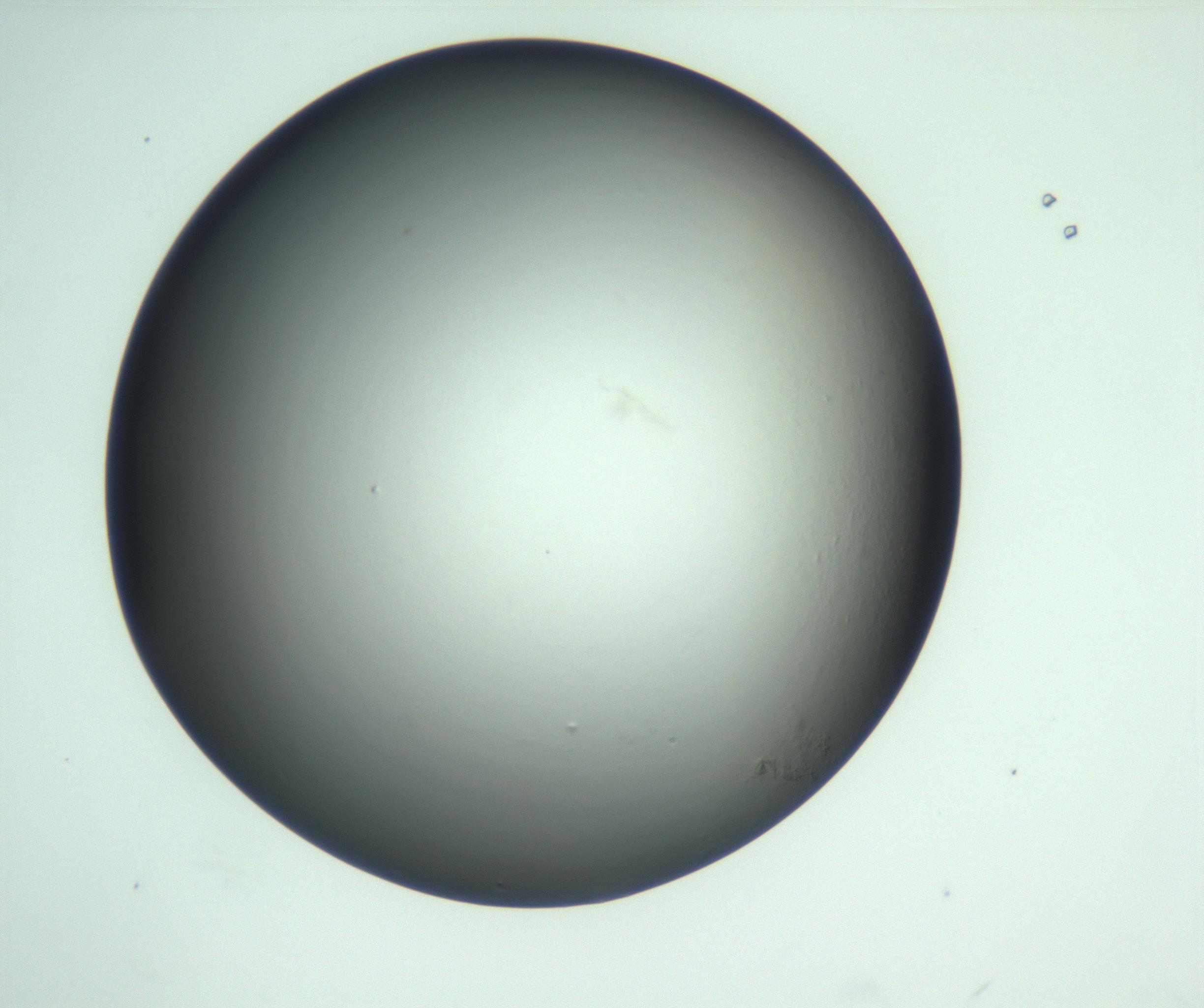RI01_03_000_0212_Proj1_Clon1_MC_0000MC103093_004_161206_08_04_02_00_99_002_001_RAI.jpg