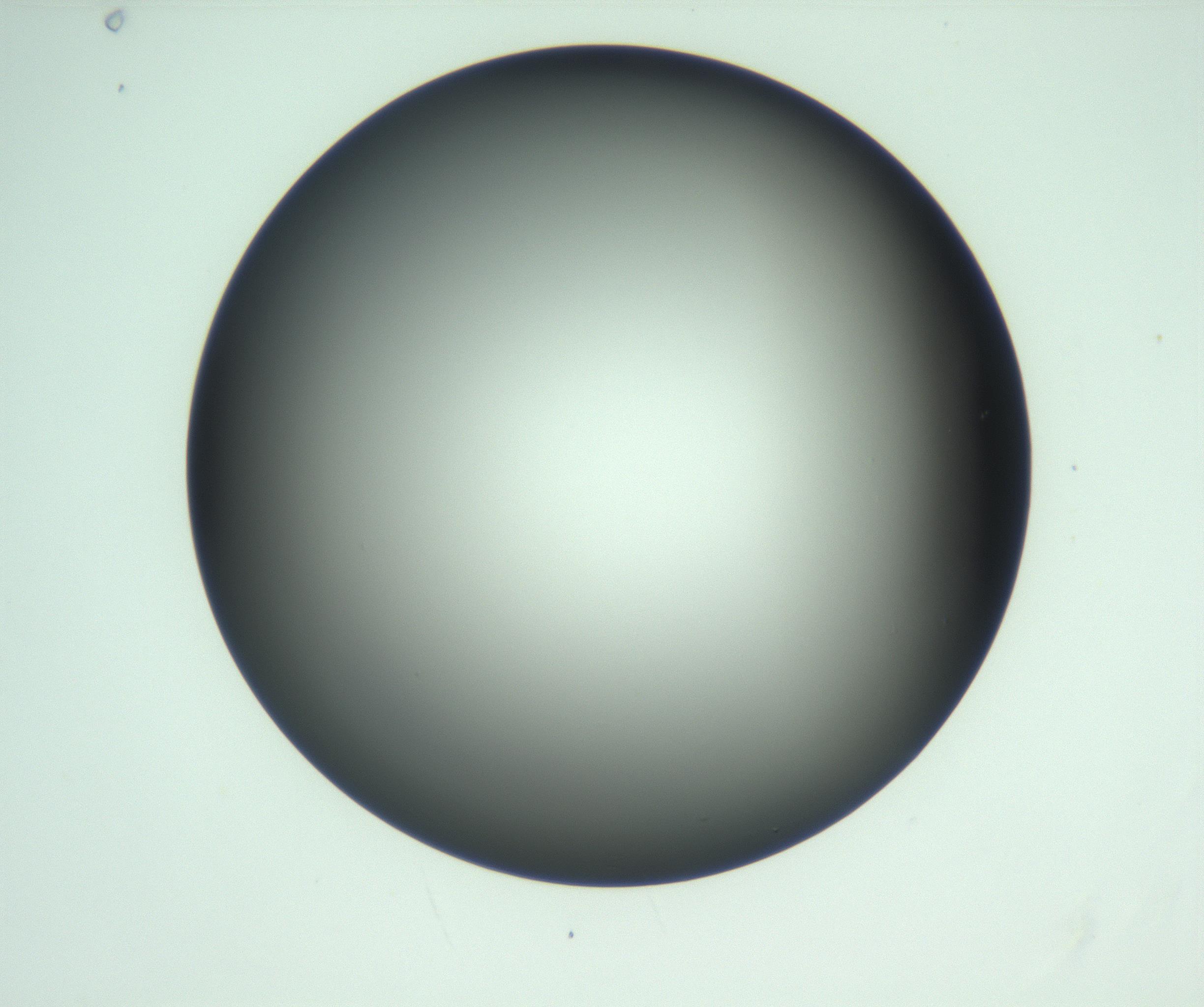 RI01_03_000_0212_Proj1_Clon1_MC_0000MC103093_004_161206_08_05_01_00_99_002_001_RAI.jpg