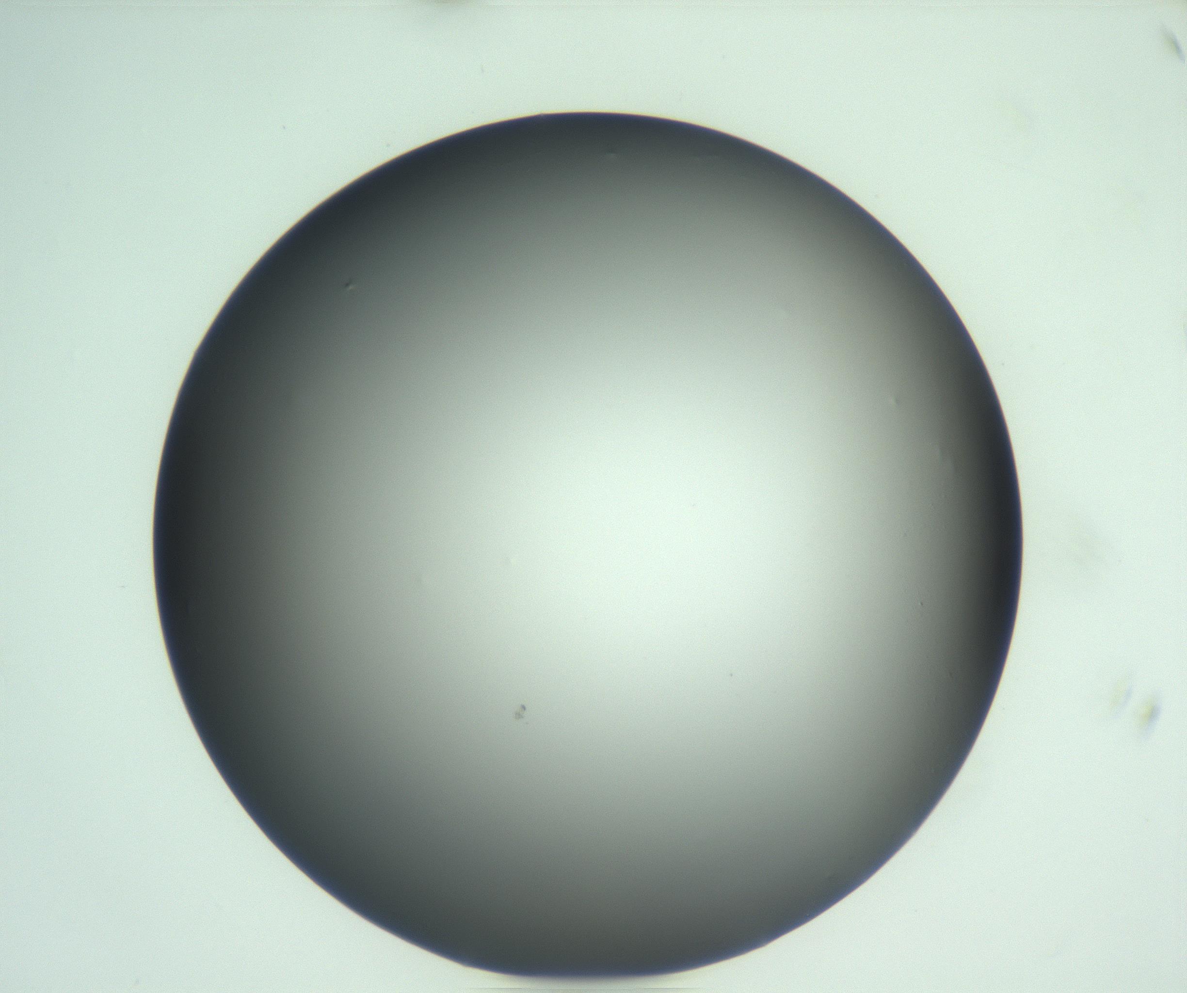 RI01_03_000_0212_Proj1_Clon1_MC_0000MC103093_004_161206_09_01_01_00_99_002_001_RAI.jpg