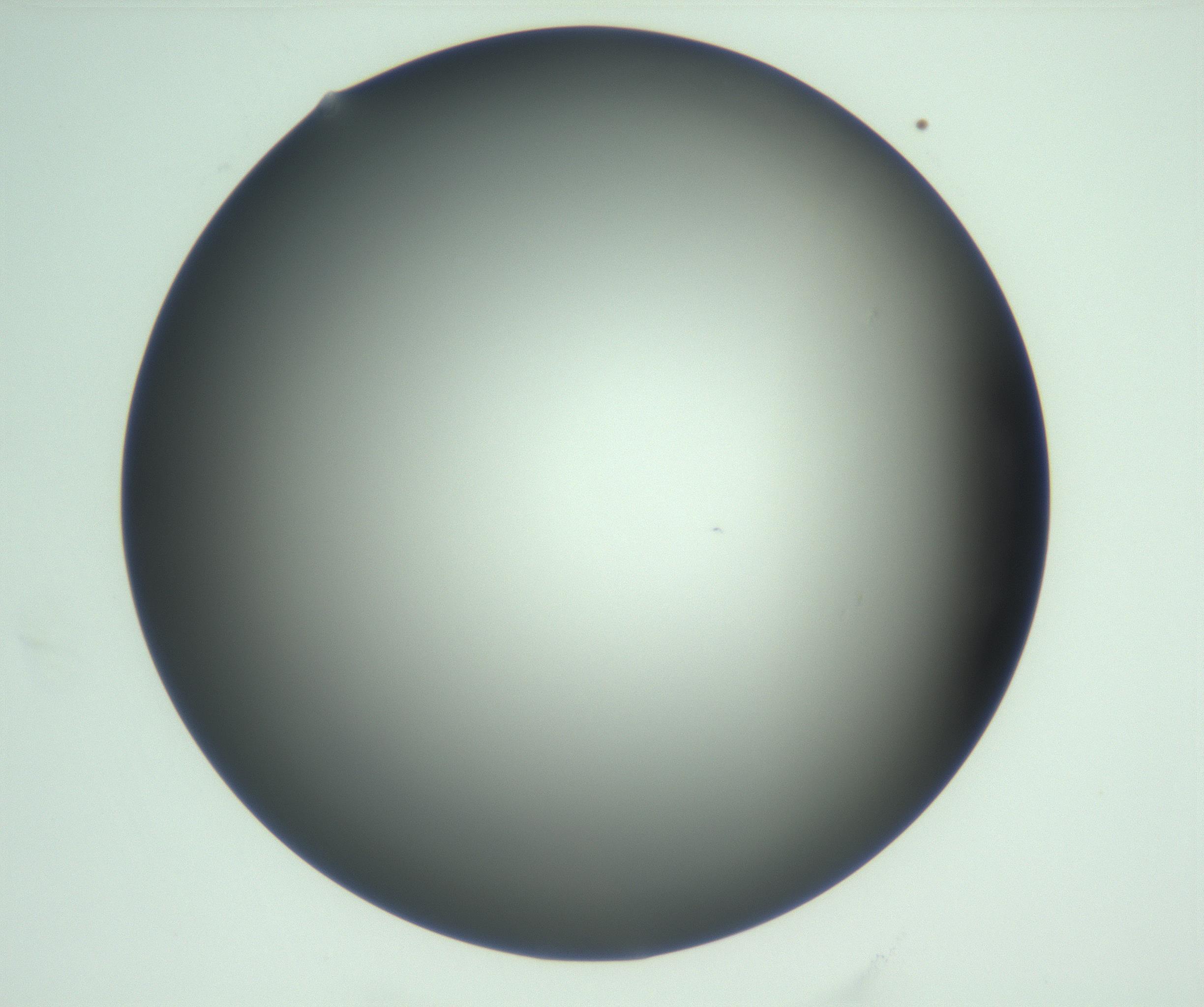 RI01_03_000_0212_Proj1_Clon1_MC_0000MC103093_004_161206_09_01_02_00_99_002_001_RAI.jpg