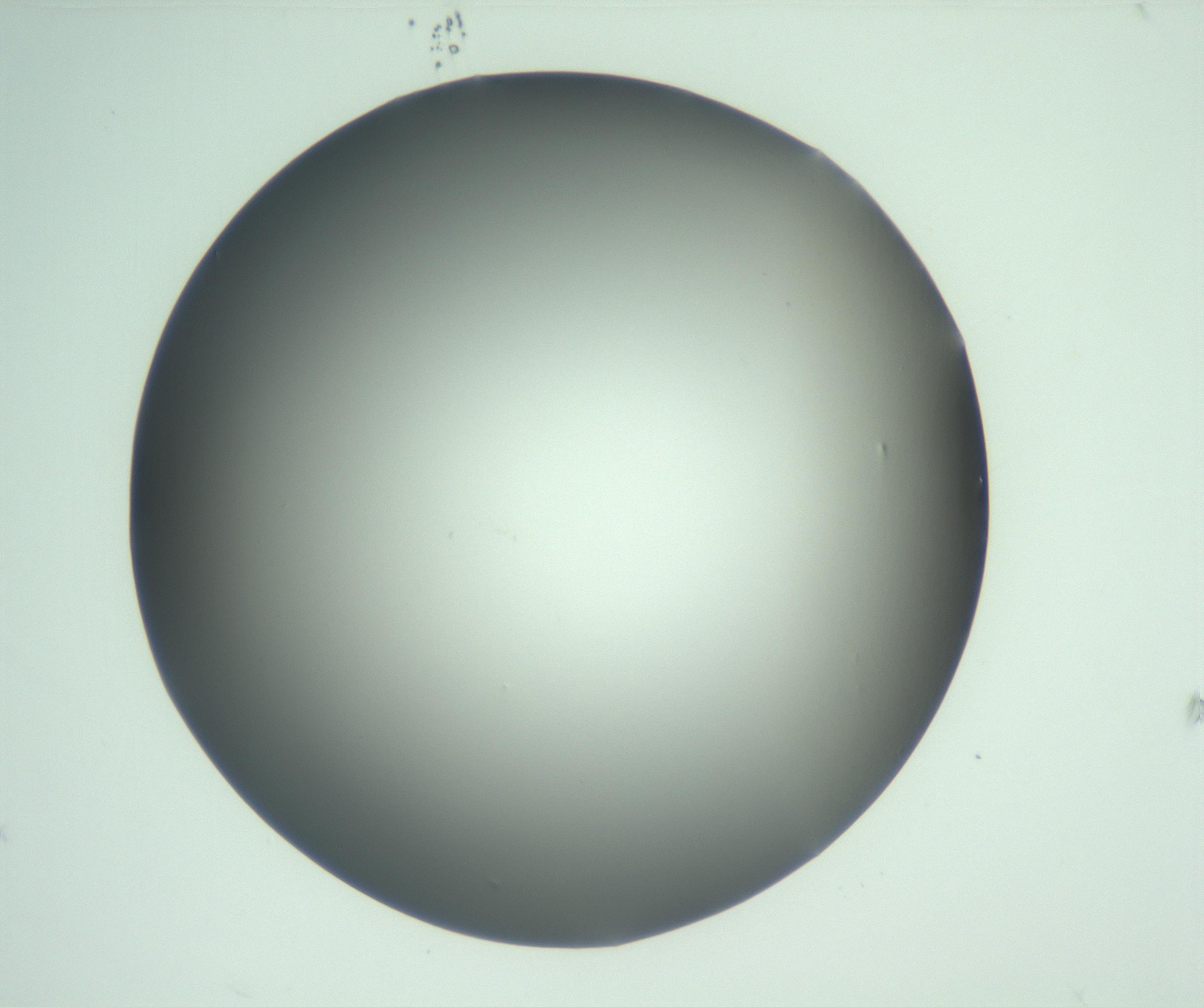 RI01_03_000_0212_Proj1_Clon1_MC_0000MC103093_004_161206_09_02_01_00_99_002_001_RAI.jpg