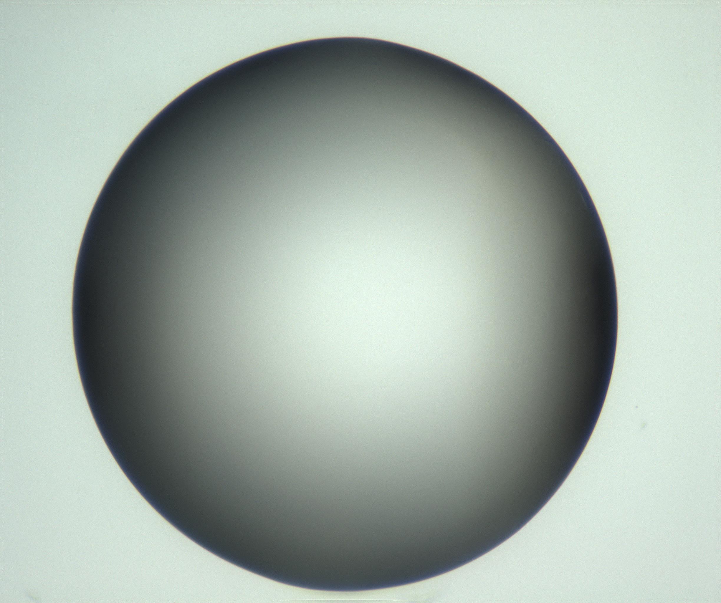 RI01_03_000_0212_Proj1_Clon1_MC_0000MC103093_004_161206_09_02_02_00_99_002_001_RAI.jpg