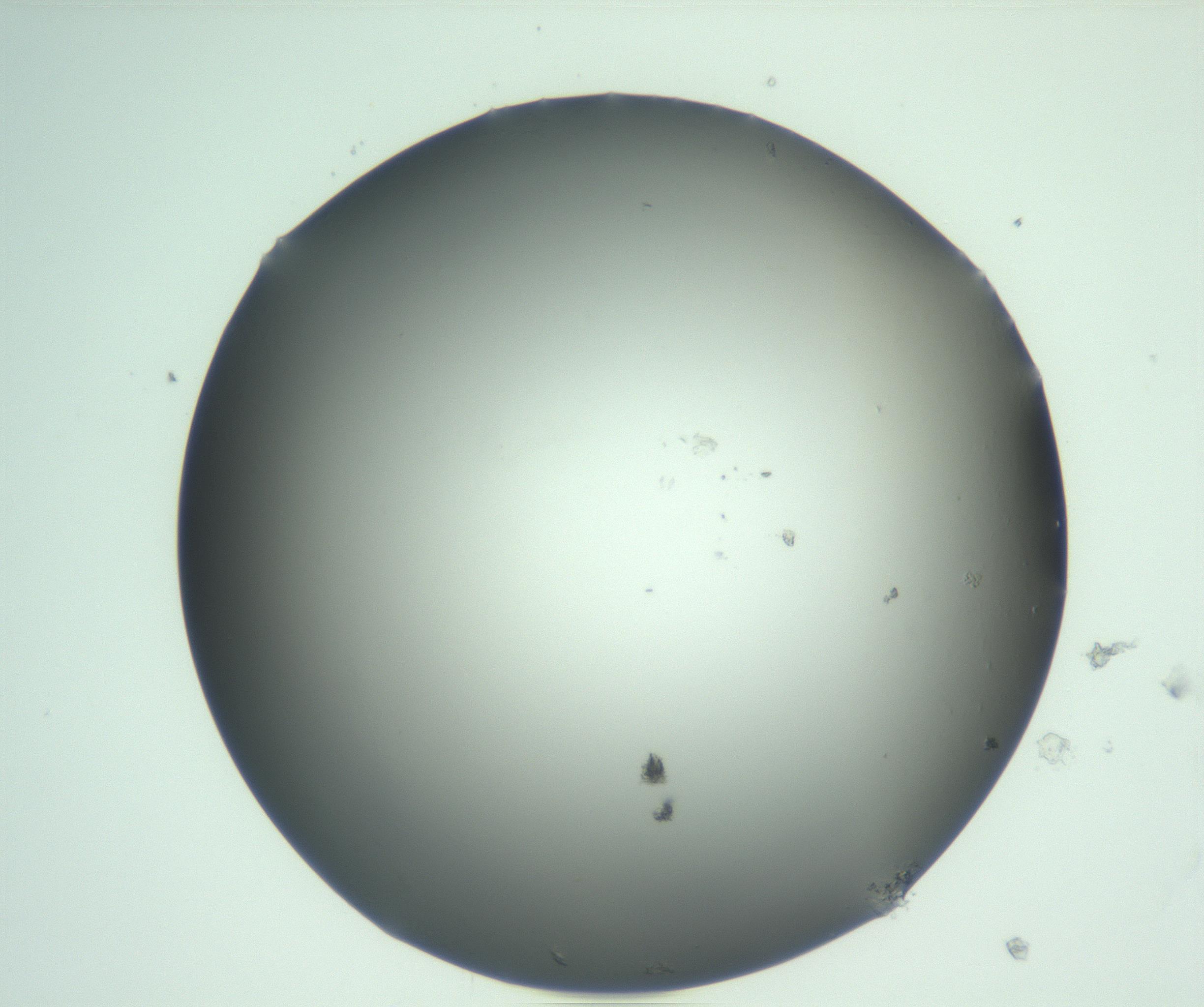 RI01_03_000_0212_Proj1_Clon1_MC_0000MC103093_004_161206_09_03_01_00_99_002_001_RAI.jpg