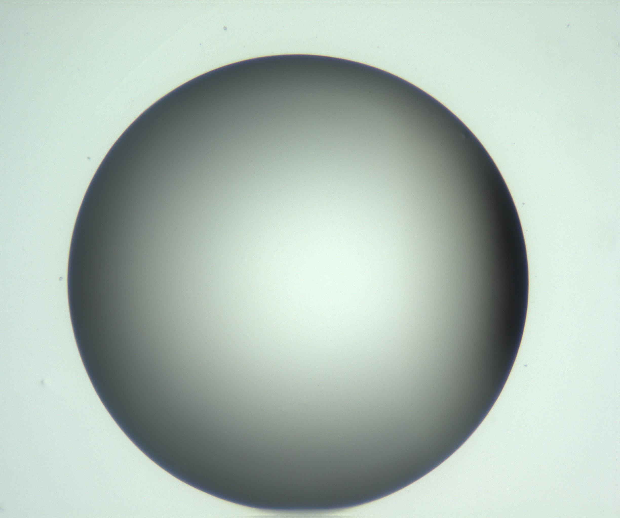 RI01_03_000_0212_Proj1_Clon1_MC_0000MC103093_004_161206_09_05_01_00_99_002_001_RAI.jpg