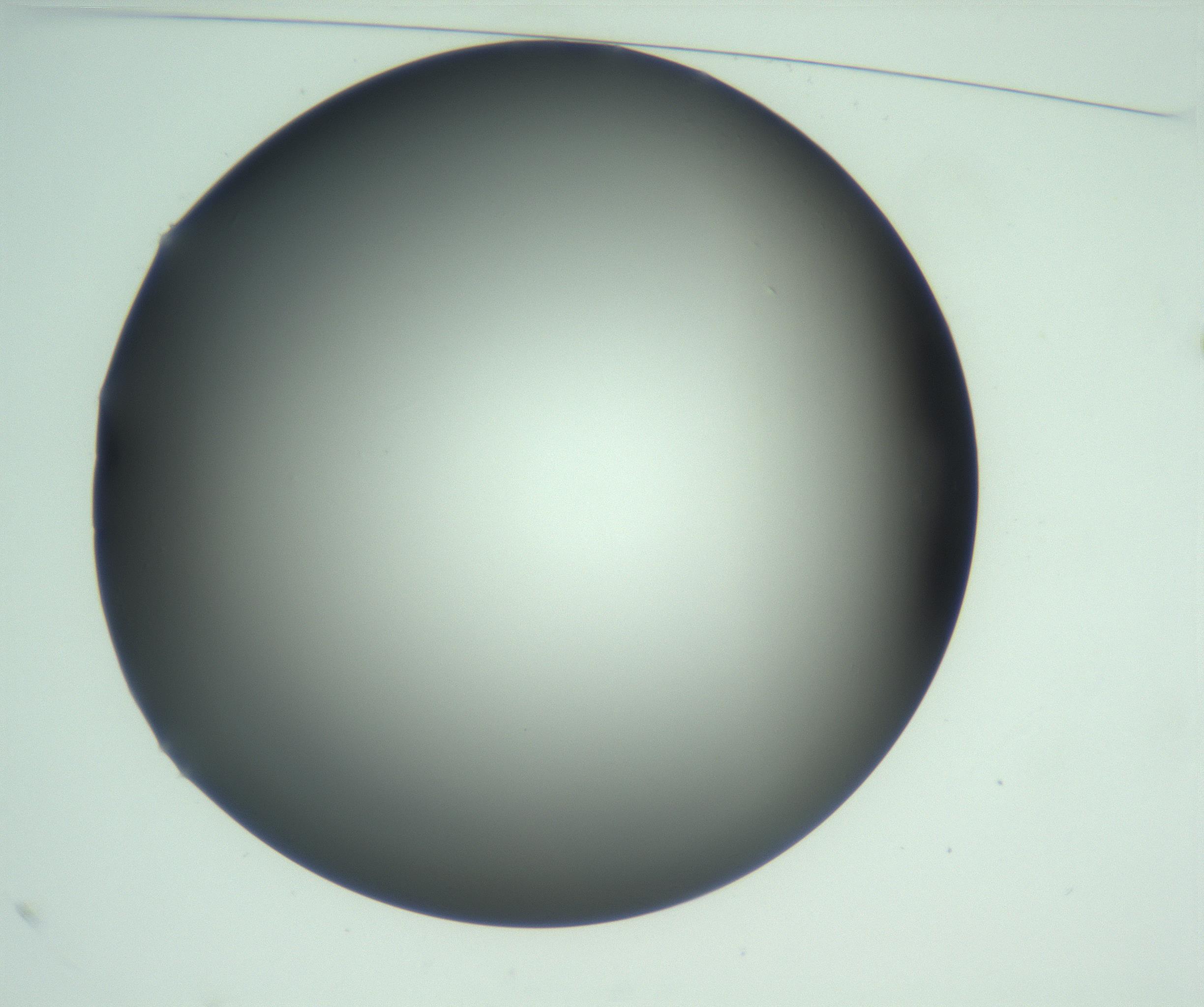 RI01_03_000_0212_Proj1_Clon1_MC_0000MC103093_004_161206_10_01_01_00_99_002_001_RAI.jpg