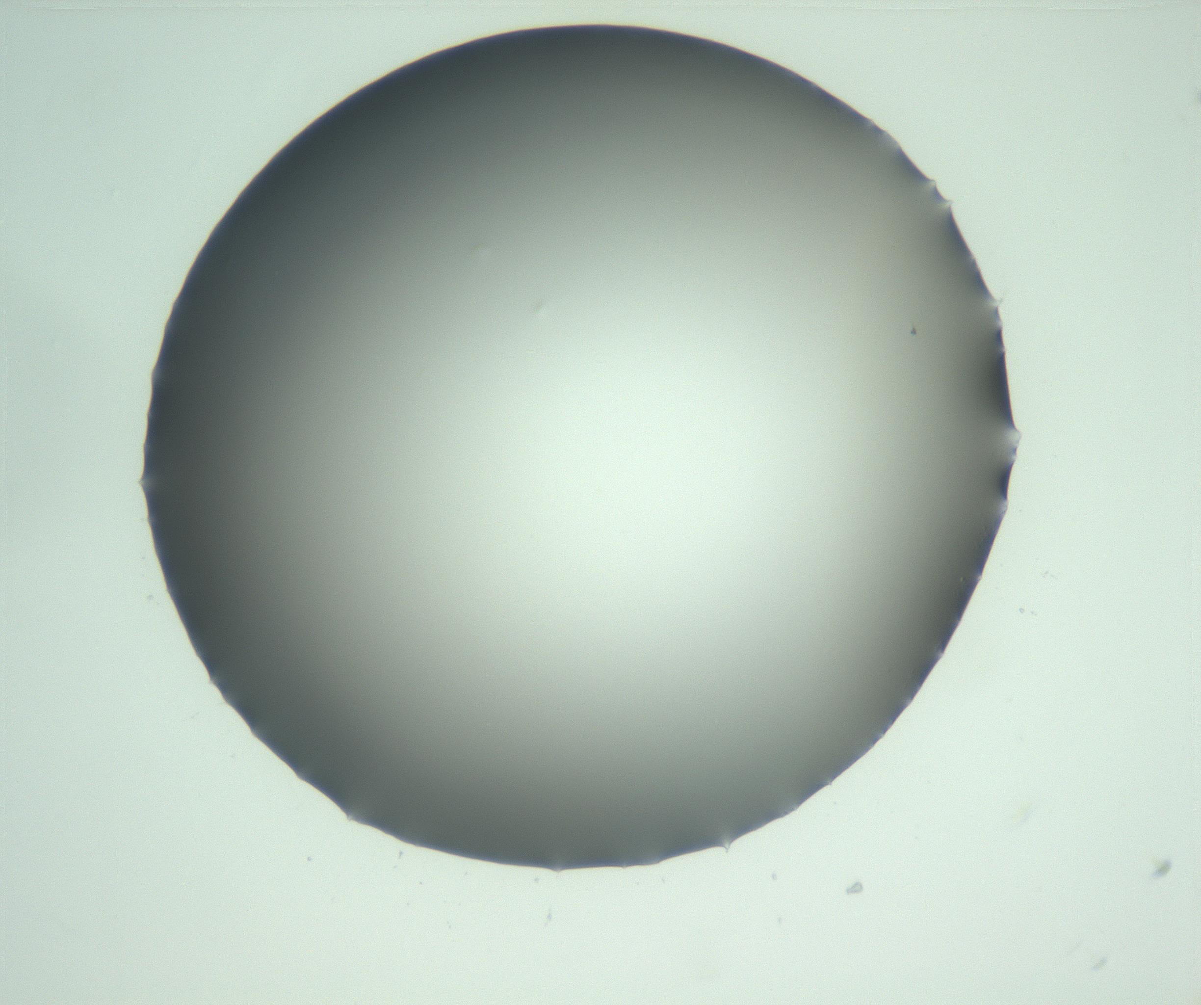 RI01_03_000_0212_Proj1_Clon1_MC_0000MC103093_004_161206_10_01_02_00_99_002_001_RAI.jpg