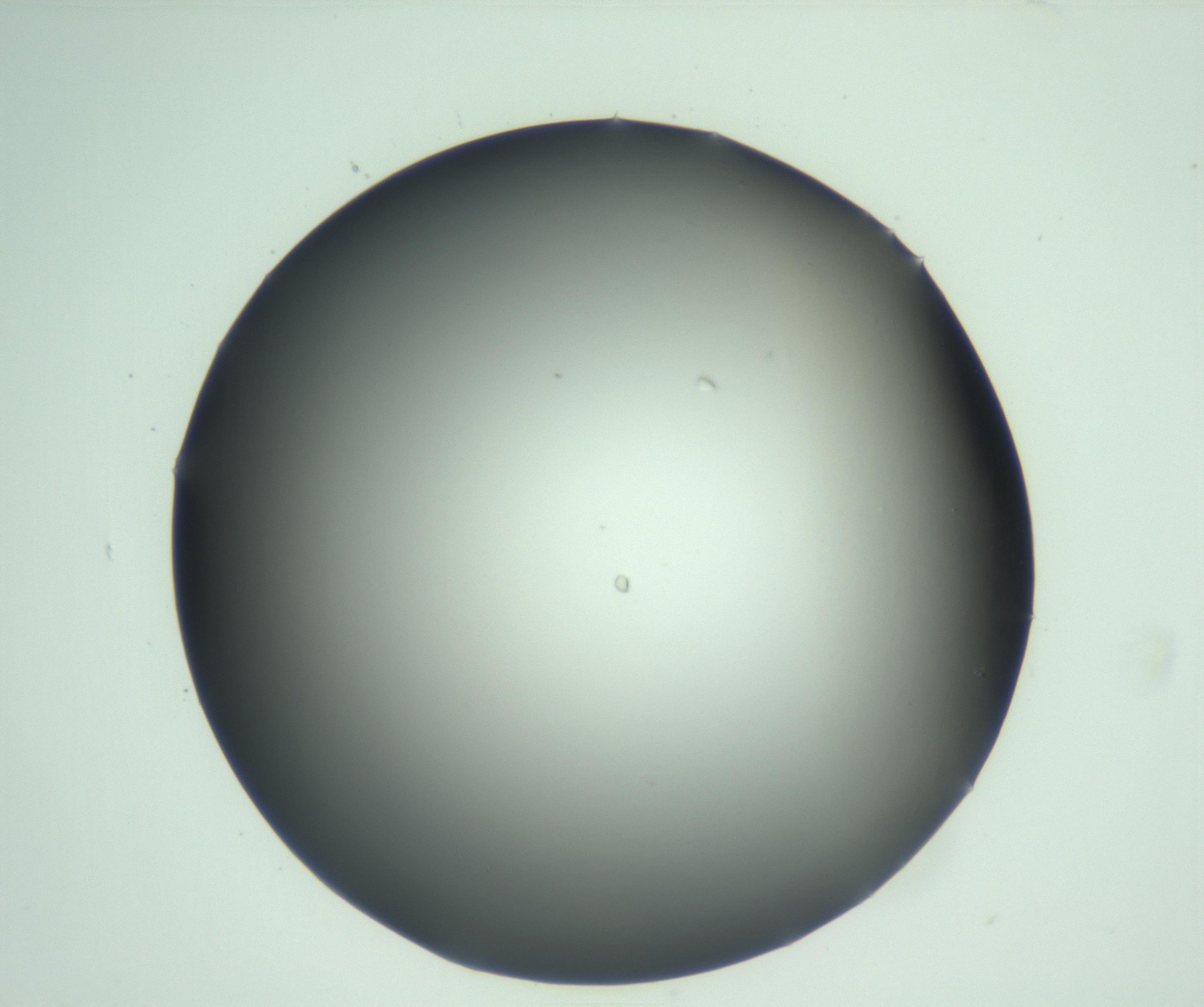 RI01_03_000_0212_Proj1_Clon1_MC_0000MC103093_004_161206_10_03_01_00_99_002_001_RAI.jpg