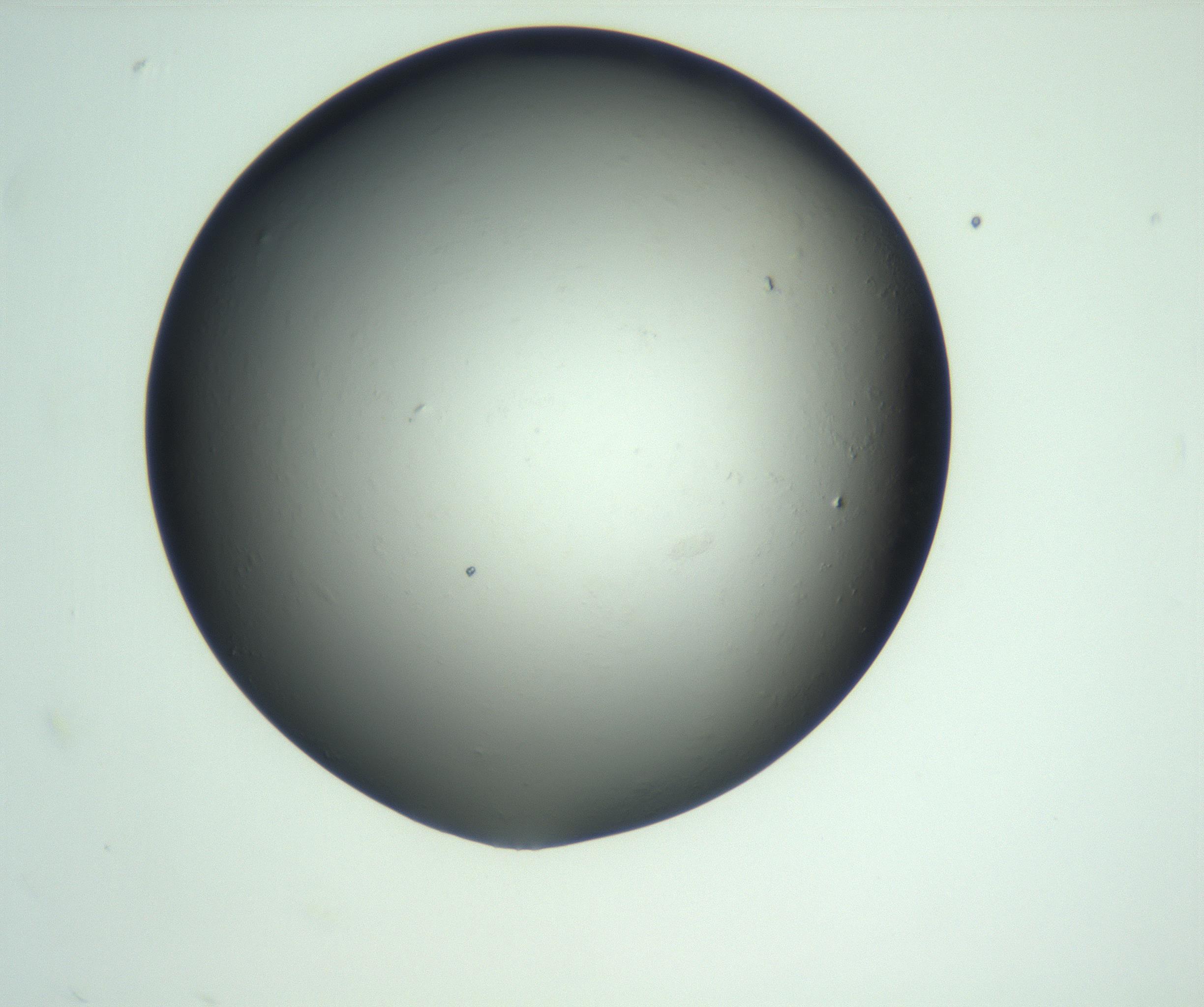 RI01_03_000_0212_Proj1_Clon1_MC_0000MC103093_004_161206_10_03_02_00_99_002_001_RAI.jpg