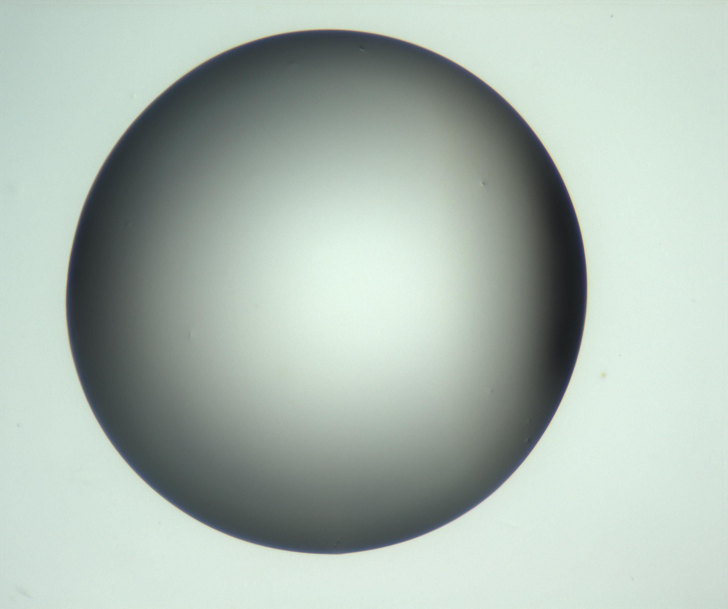 RI01_03_000_0212_Proj1_Clon1_MC_0000MC103093_004_161206_10_04_01_00_99_002_001_RAI.jpg