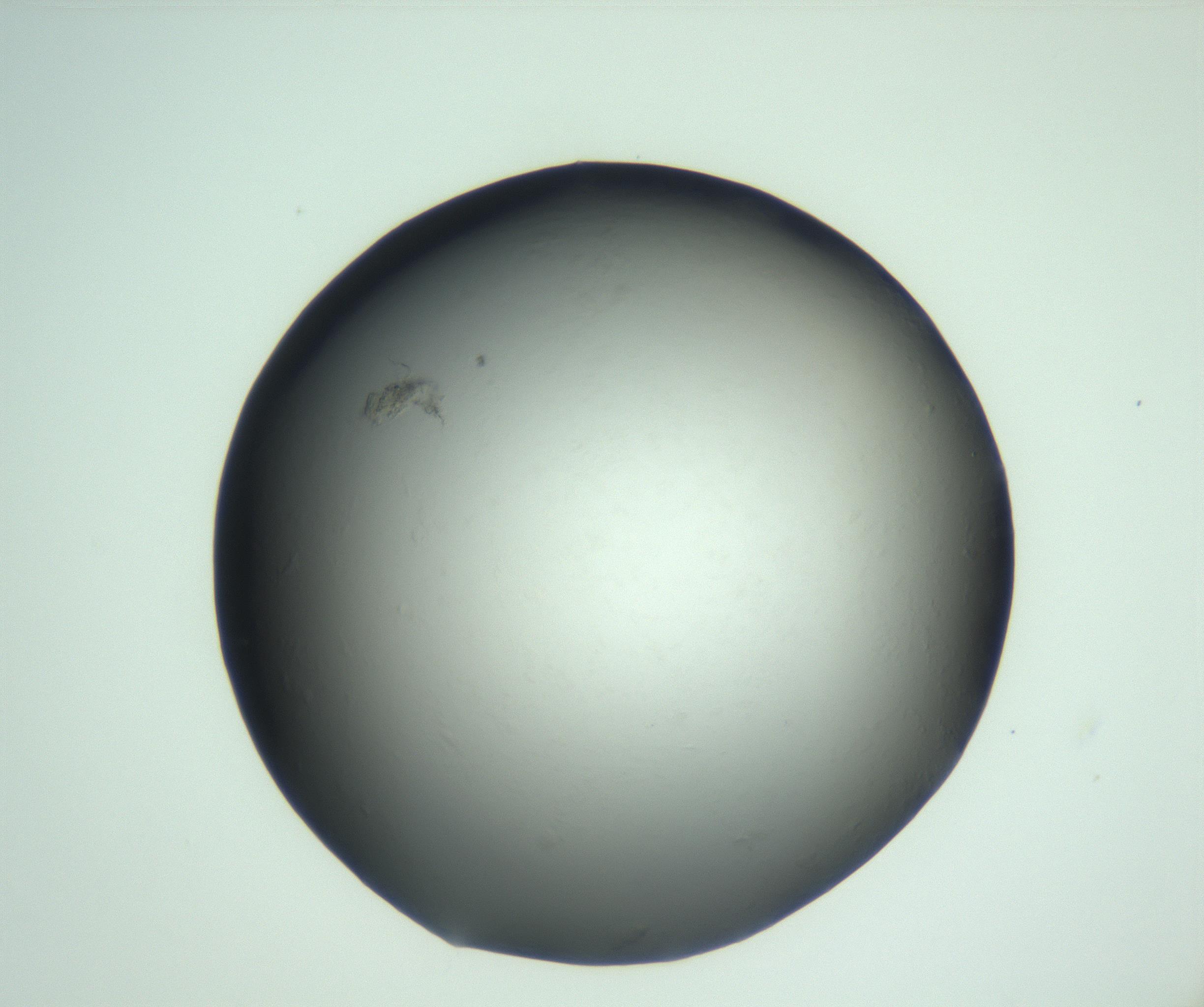 RI01_03_000_0212_Proj1_Clon1_MC_0000MC103093_004_161206_10_04_02_00_99_002_001_RAI.jpg