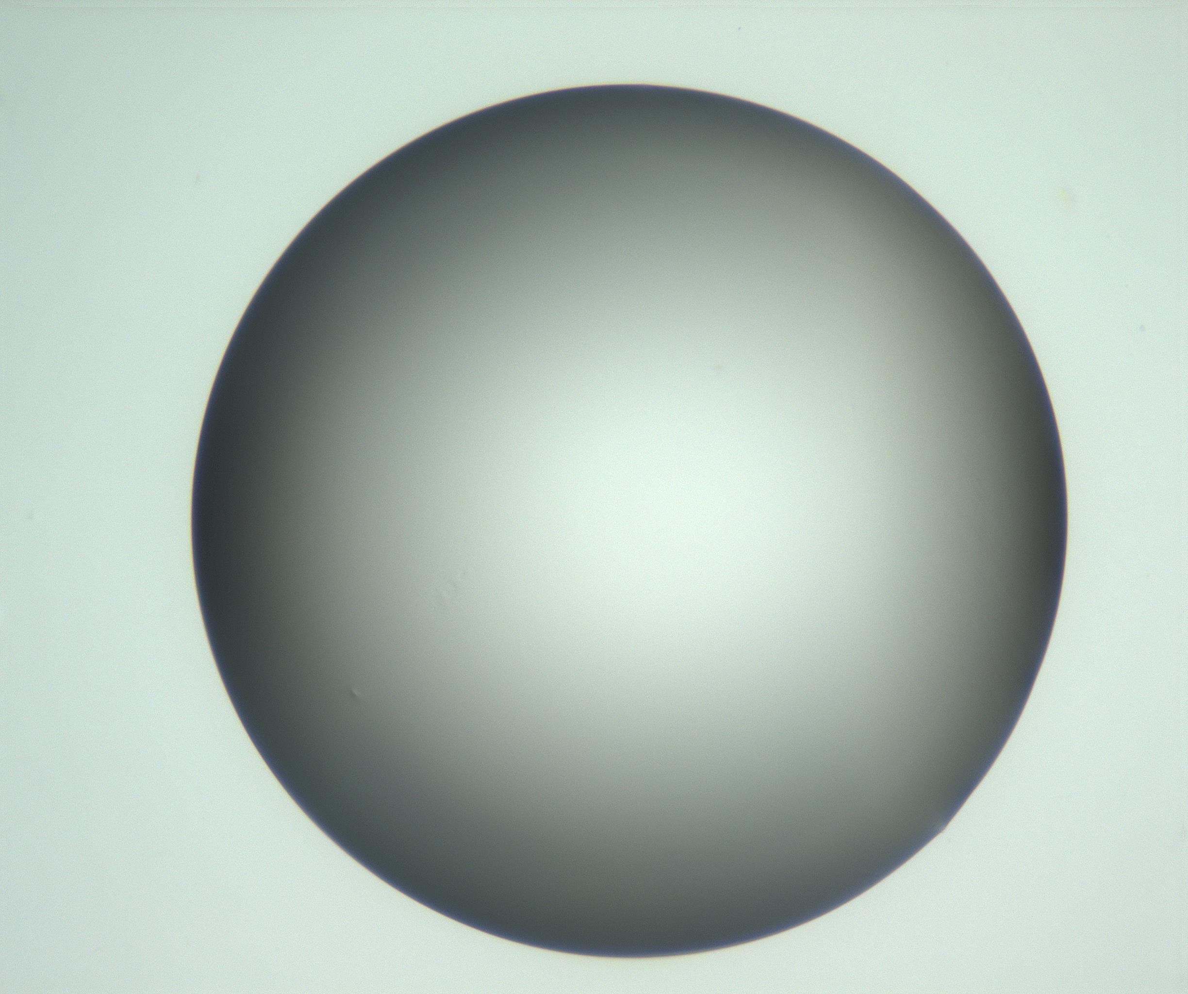 RI01_03_000_0212_Proj1_Clon1_MC_0000MC103093_004_161206_10_05_01_00_99_002_001_RAI.jpg