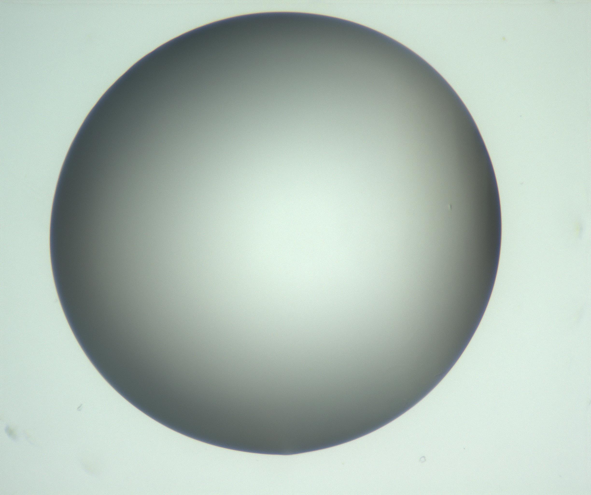 RI01_03_000_0212_Proj1_Clon1_MC_0000MC103093_004_161206_11_01_01_00_99_002_001_RAI.jpg