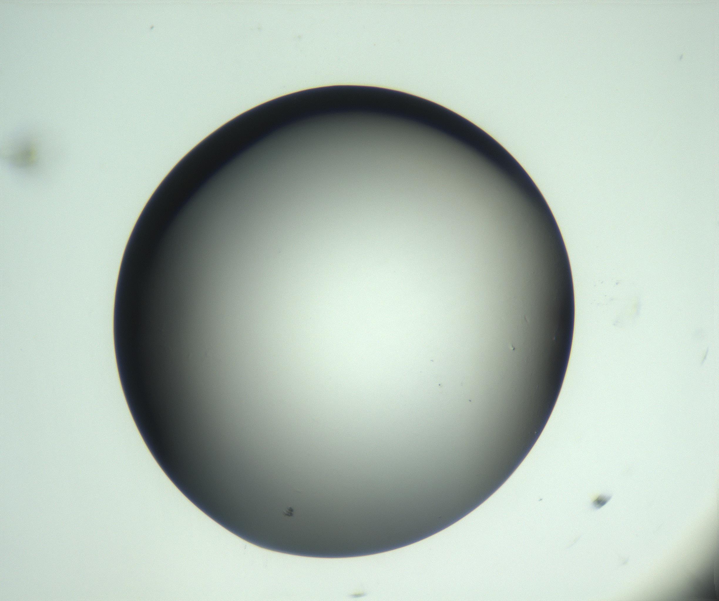 RI01_03_000_0212_Proj1_Clon1_MC_0000MC103093_004_161206_11_01_02_00_99_002_001_RAI.jpg
