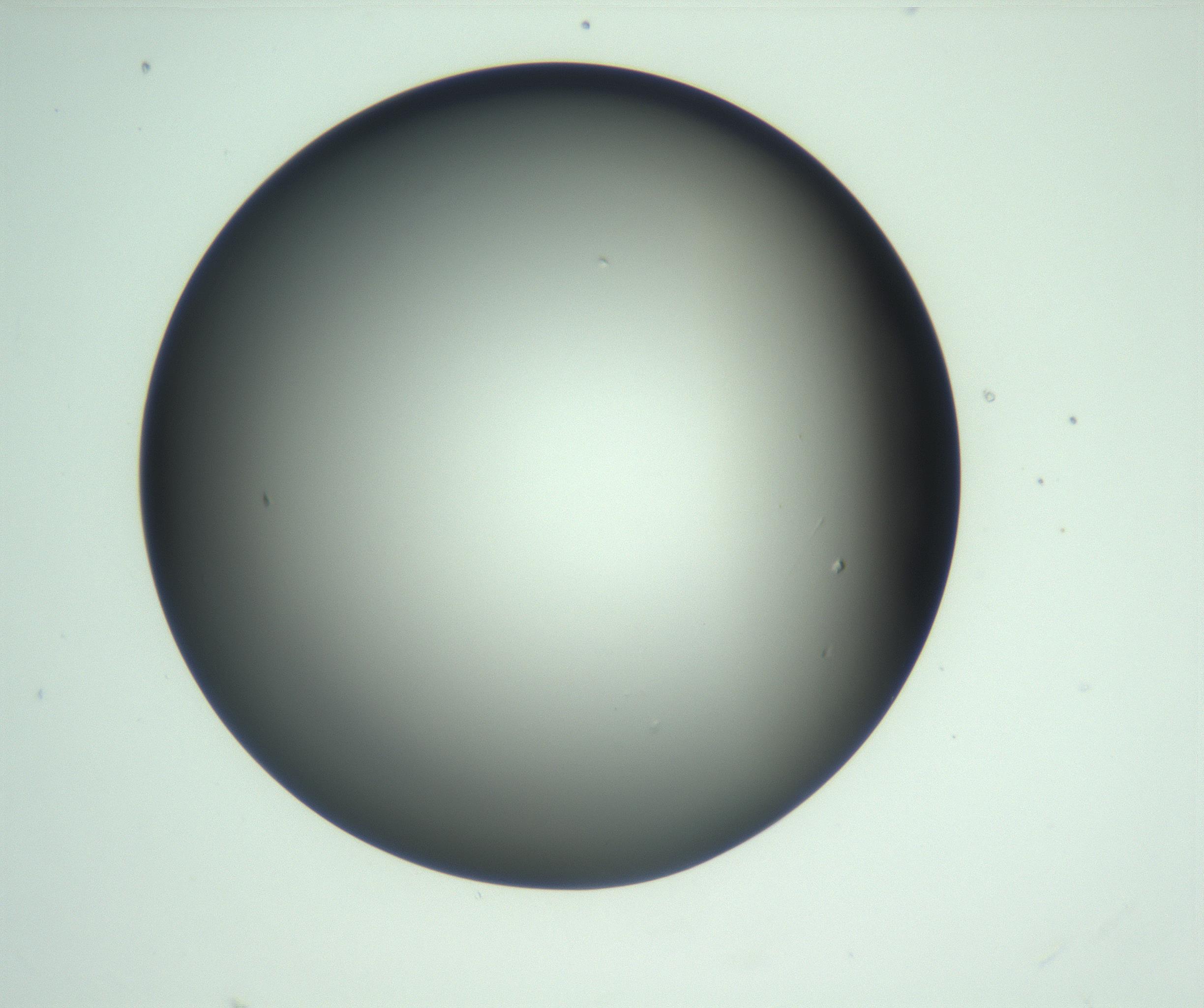 RI01_03_000_0212_Proj1_Clon1_MC_0000MC103093_004_161206_11_02_01_00_99_002_001_RAI.jpg