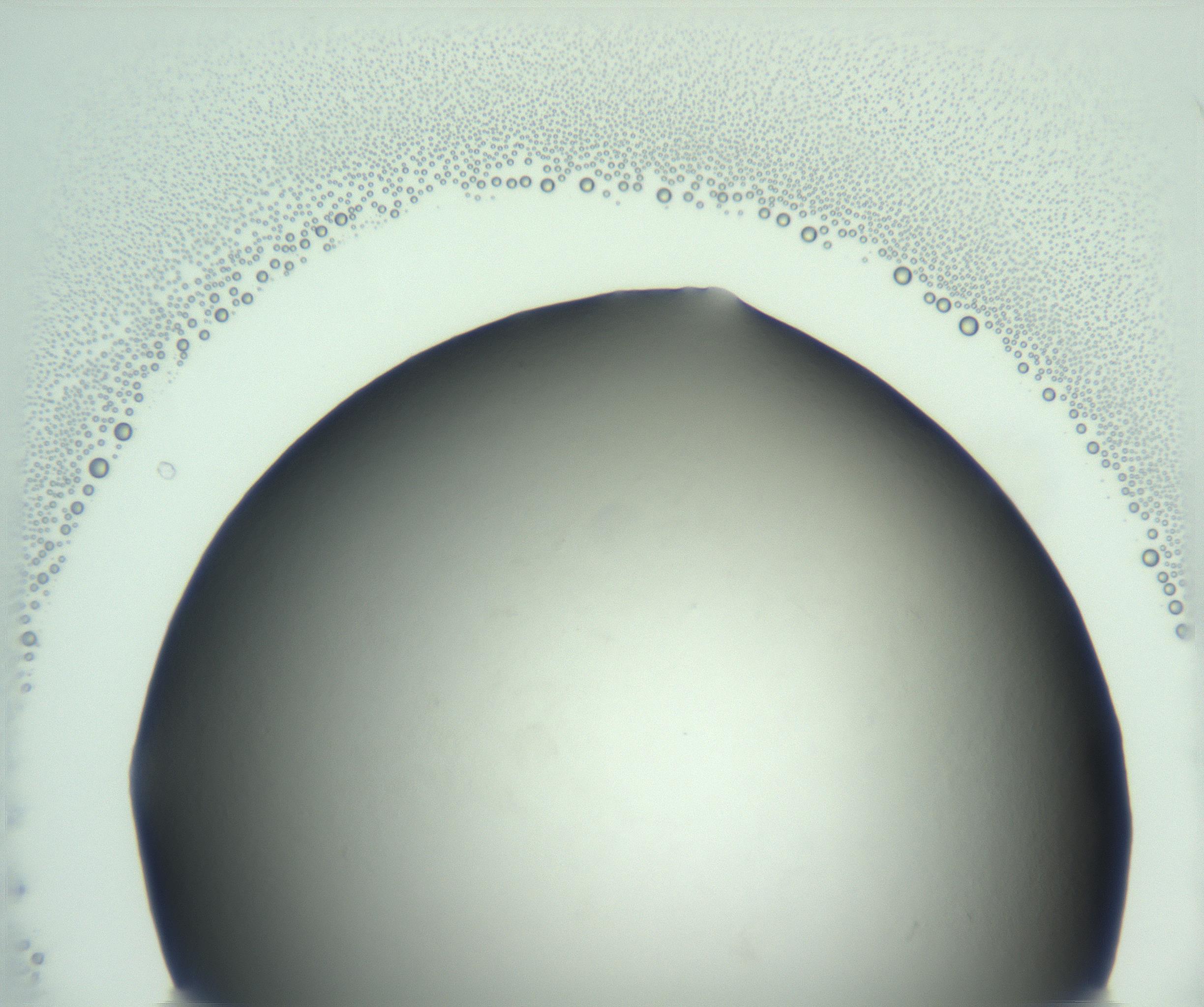 RI01_03_000_0212_Proj1_Clon1_MC_0000MC103093_004_161206_11_02_02_00_99_002_001_RAI.jpg