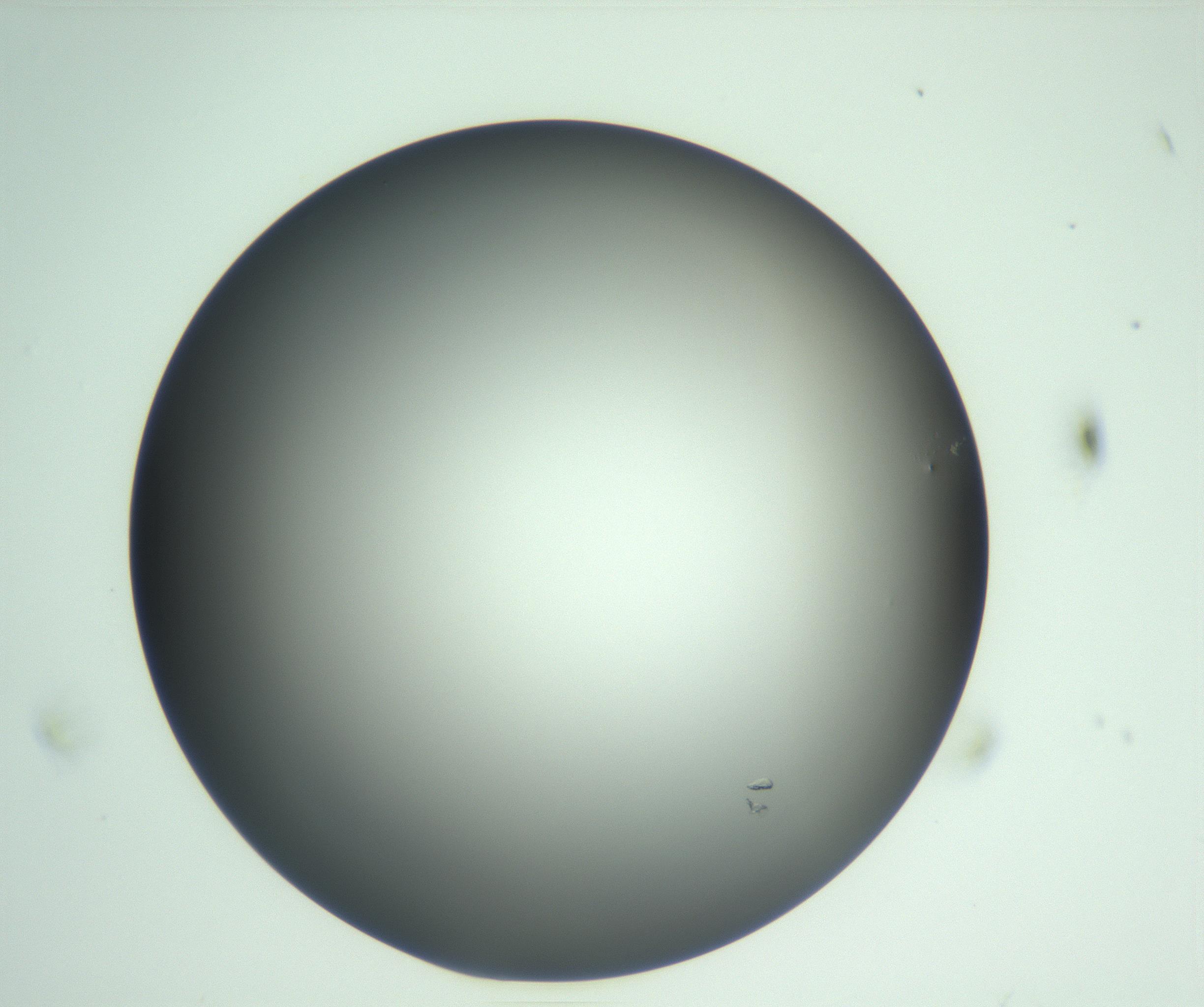 RI01_03_000_0212_Proj1_Clon1_MC_0000MC103093_004_161206_11_03_01_00_99_002_001_RAI.jpg