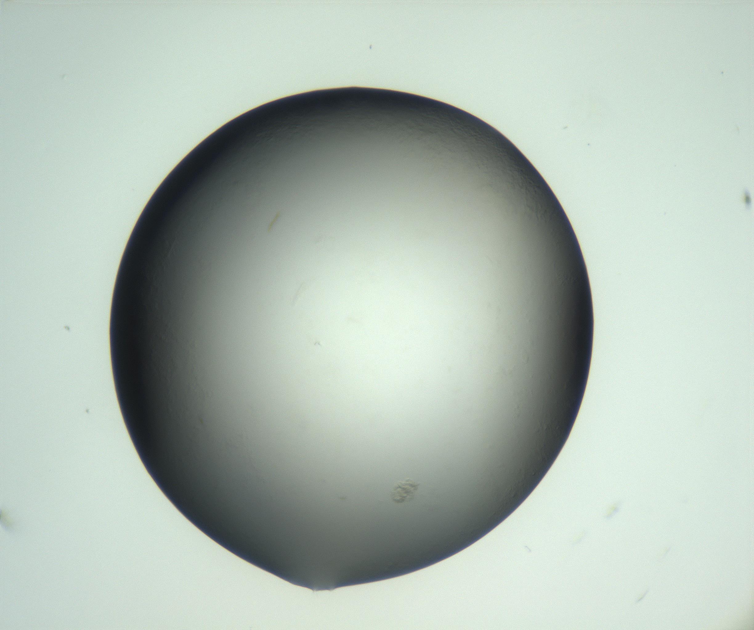 RI01_03_000_0212_Proj1_Clon1_MC_0000MC103093_004_161206_11_03_02_00_99_002_001_RAI.jpg