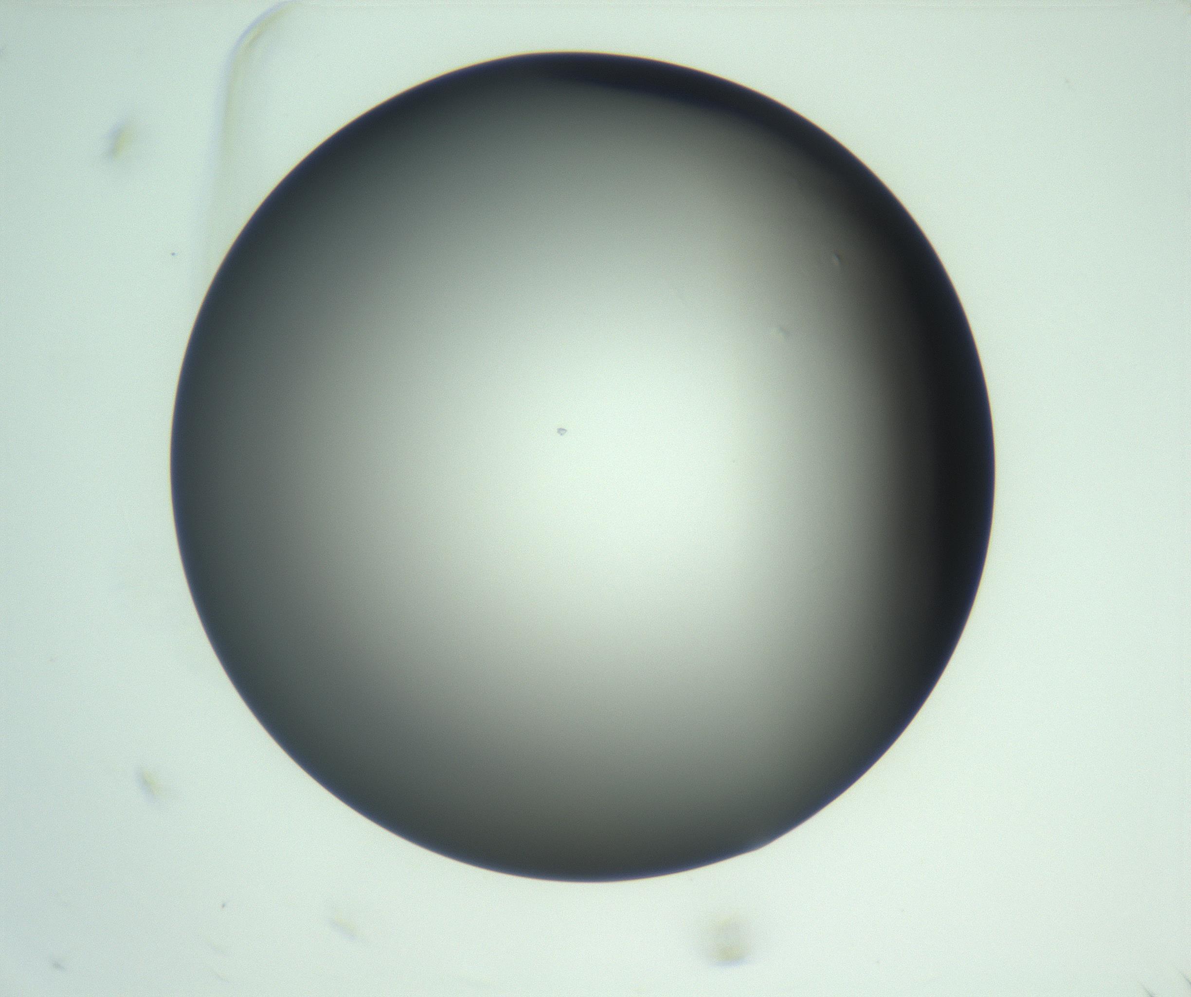 RI01_03_000_0212_Proj1_Clon1_MC_0000MC103093_004_161206_12_01_01_00_99_002_001_RAI.jpg