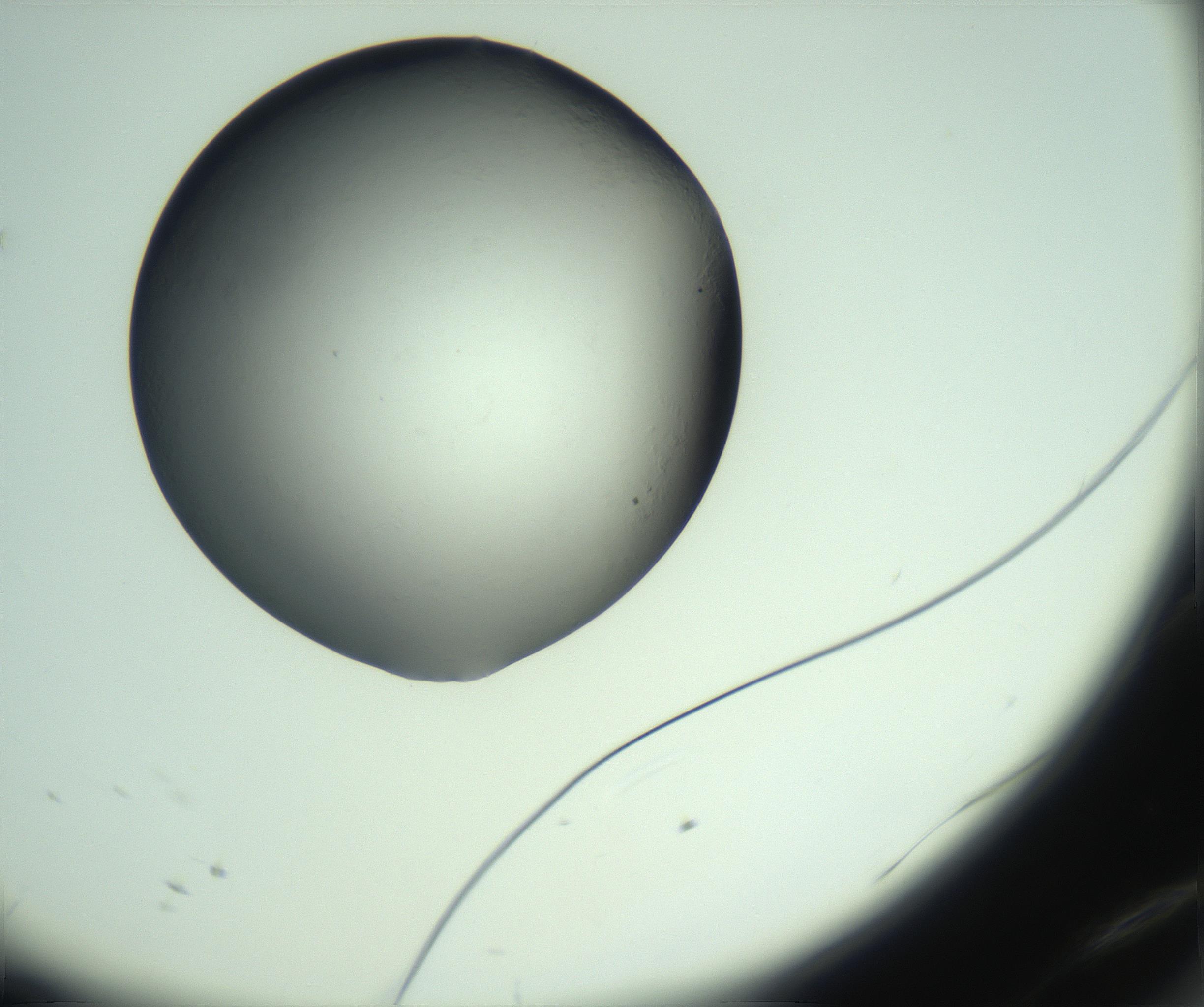 RI01_03_000_0212_Proj1_Clon1_MC_0000MC103093_004_161206_12_01_02_00_99_002_001_RAI.jpg