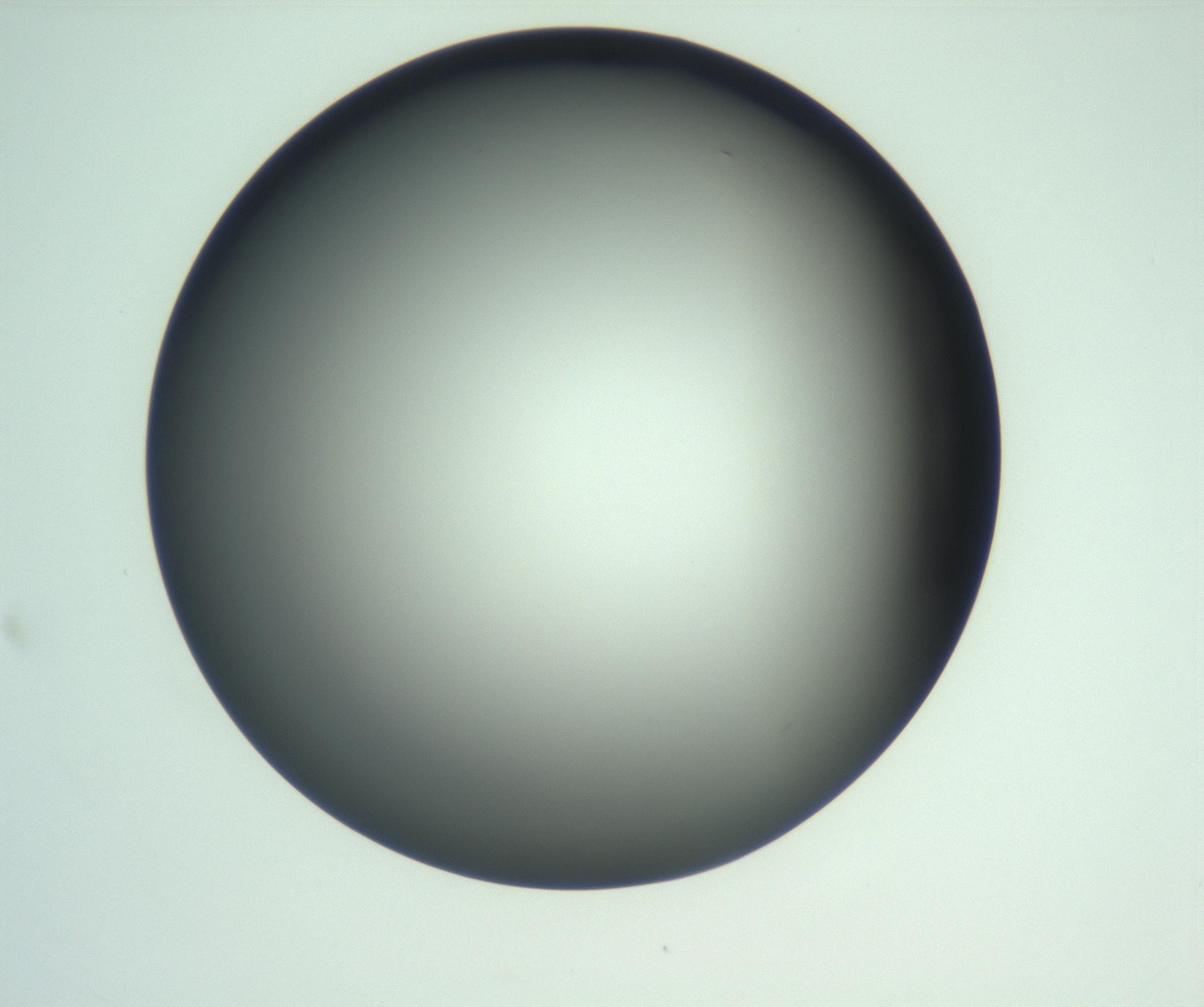 RI01_03_000_0212_Proj1_Clon1_MC_0000MC103093_004_161206_12_02_01_00_99_002_001_RAI.jpg