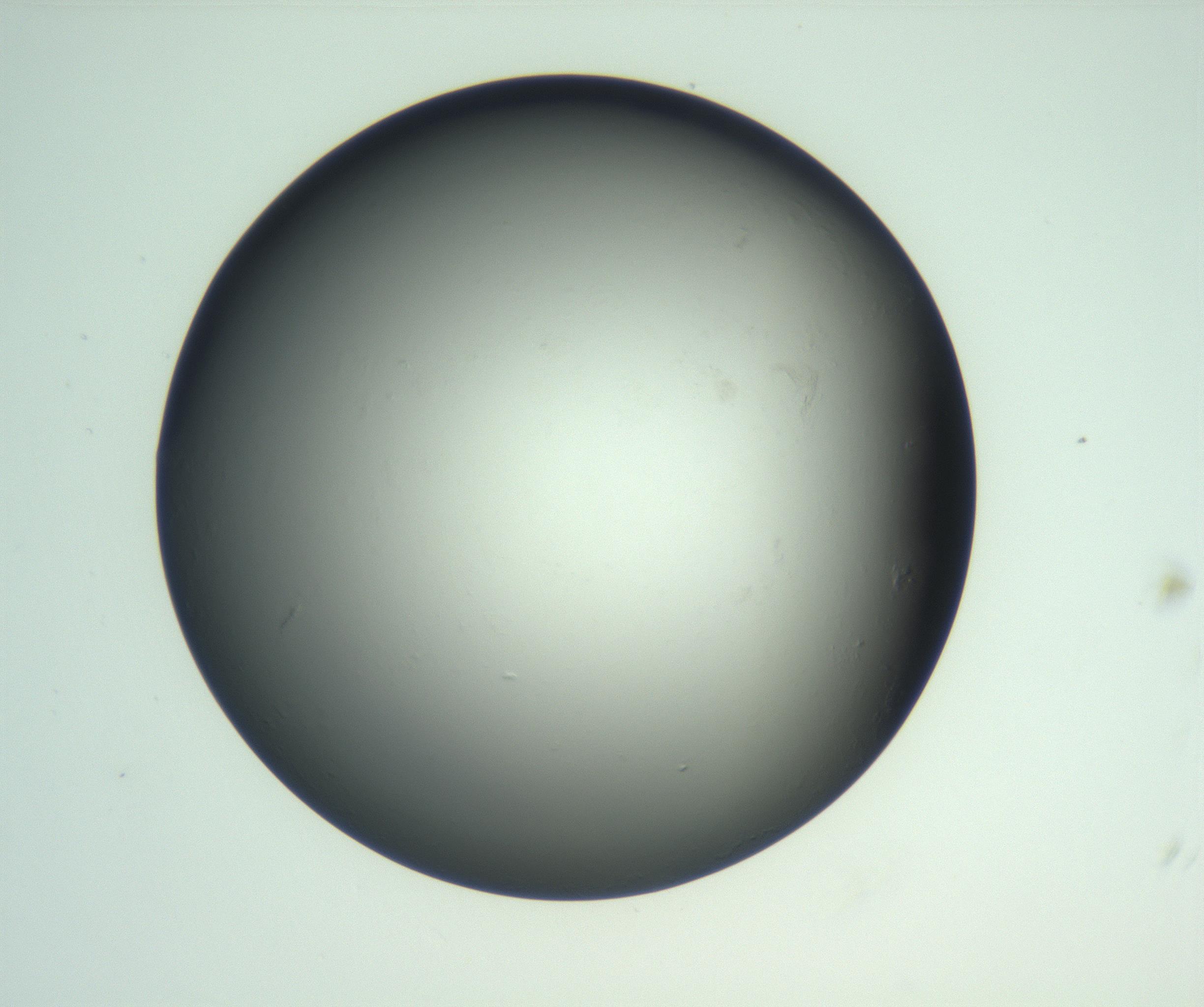RI01_03_000_0212_Proj1_Clon1_MC_0000MC103093_004_161206_12_02_02_00_99_002_001_RAI.jpg