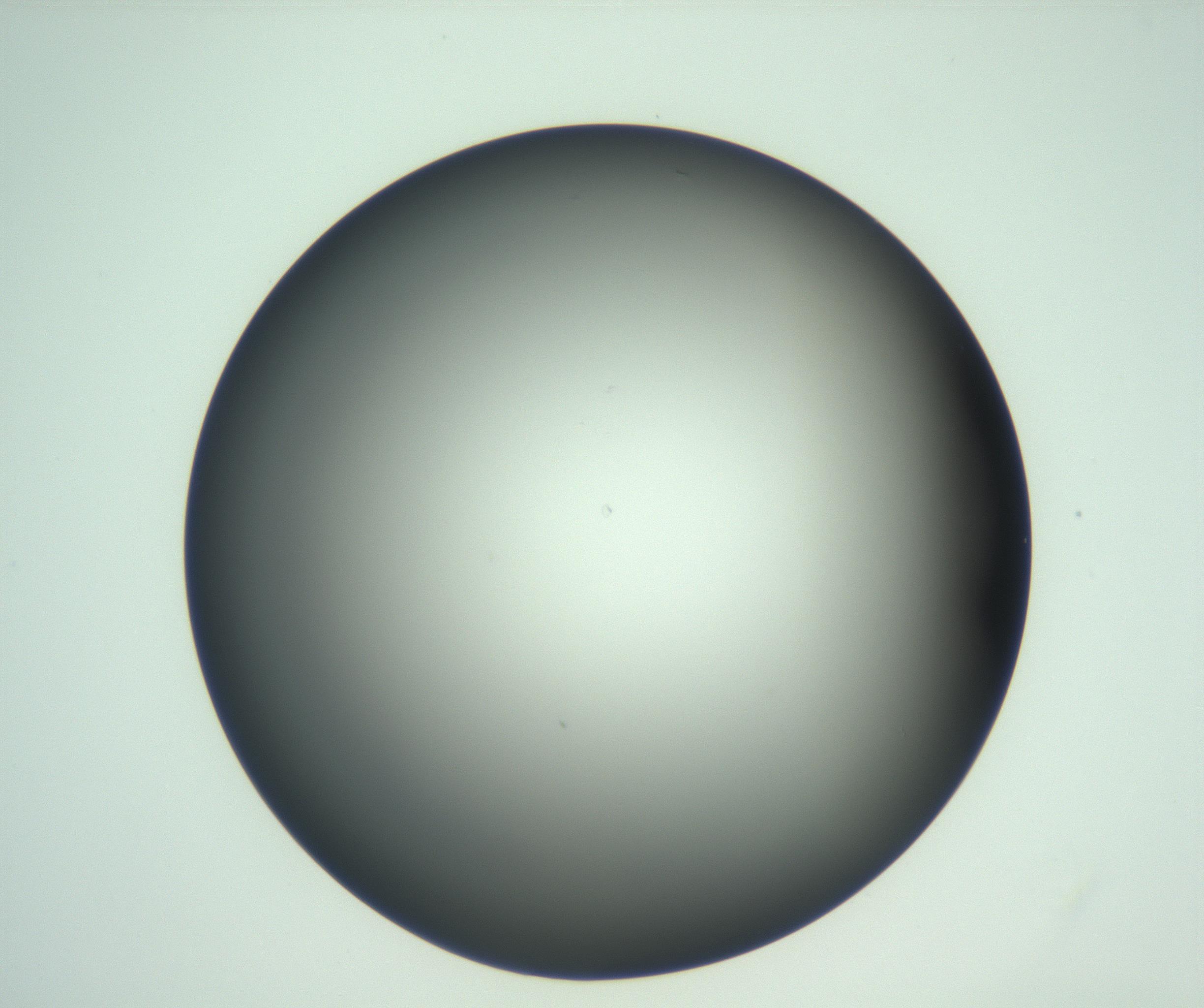 RI01_03_000_0212_Proj1_Clon1_MC_0000MC103093_004_161206_12_03_01_00_99_002_001_RAI.jpg