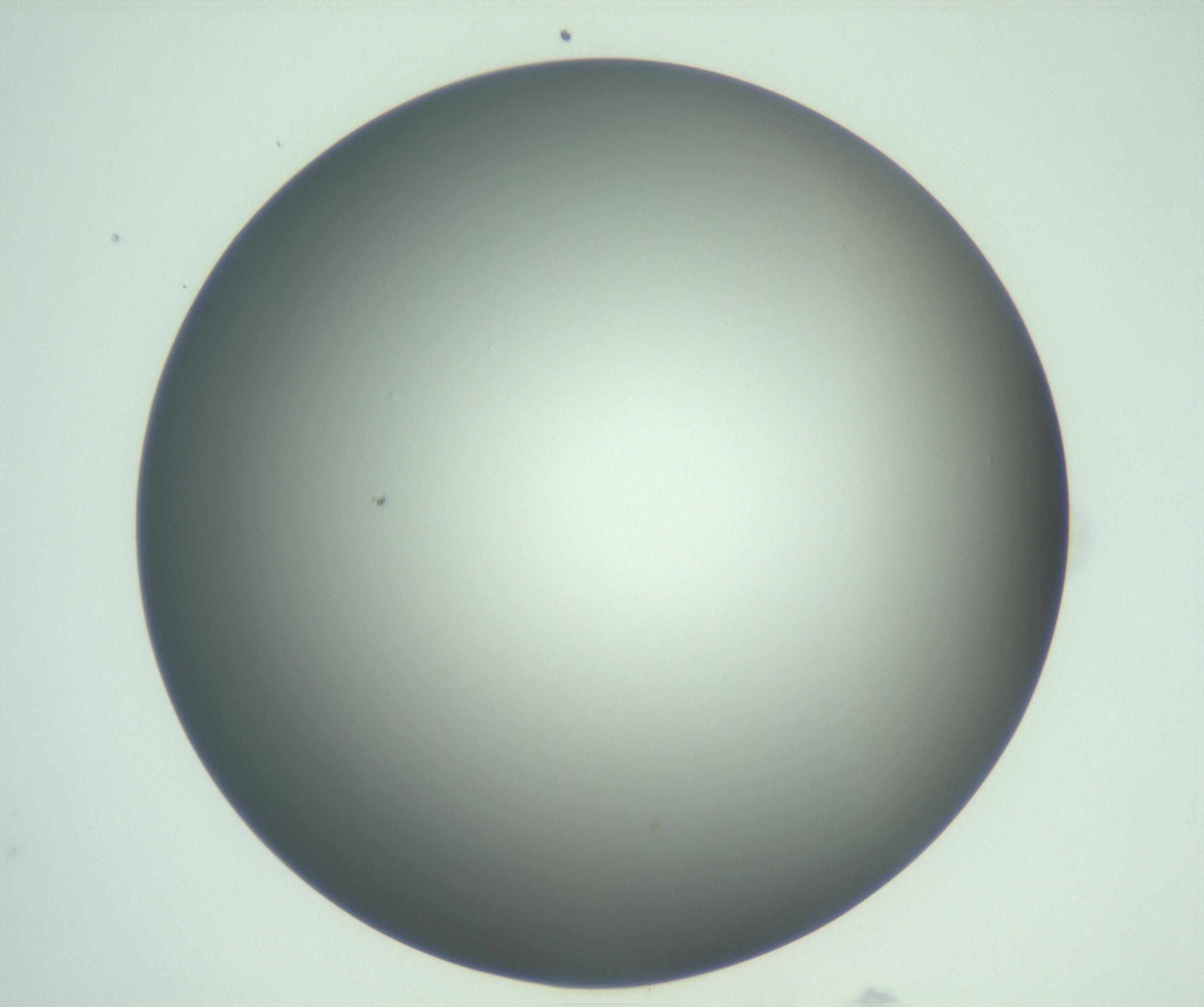 RI01_03_000_0212_Proj1_Clon1_MC_0000MC103093_004_161206_12_04_01_00_99_002_001_RAI.jpg