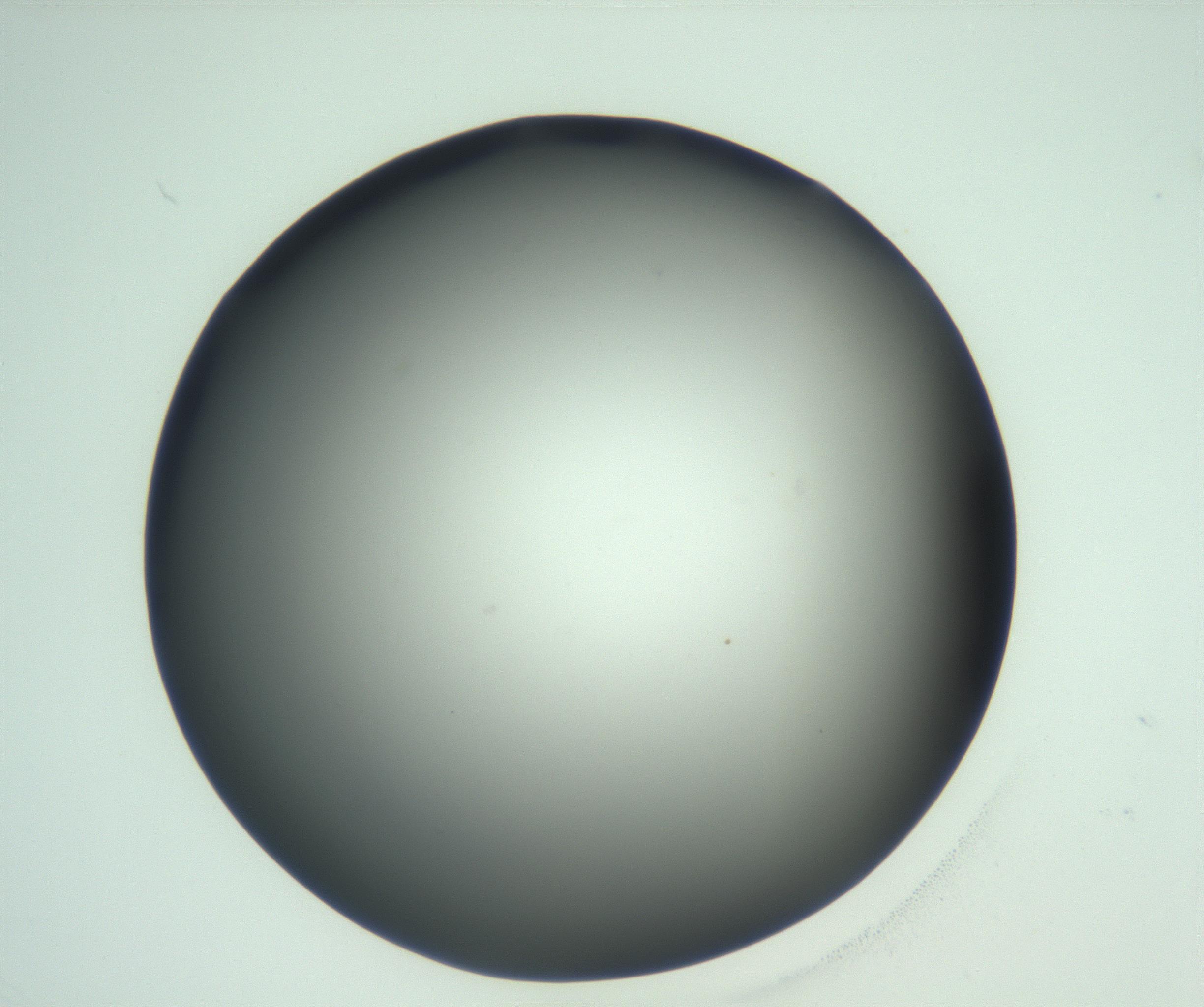 RI01_03_000_0212_Proj1_Clon1_MC_0000MC103093_004_161206_12_04_02_00_99_002_001_RAI.jpg
