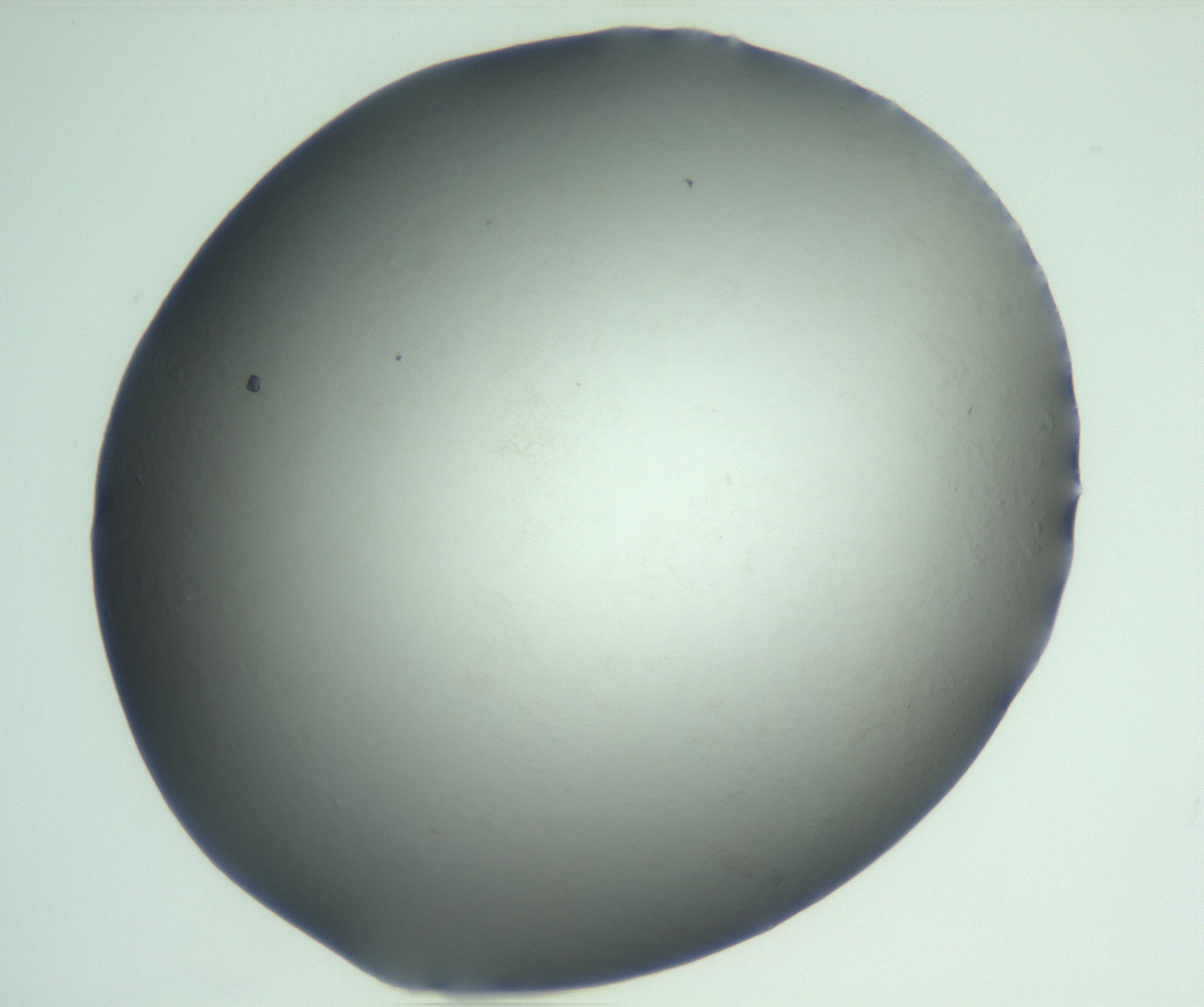 RI01_03_000_0212_Proj1_Clon1_MC_0000MC103093_005_161208_01_05_02_00_99_002_001_RAI.jpg
